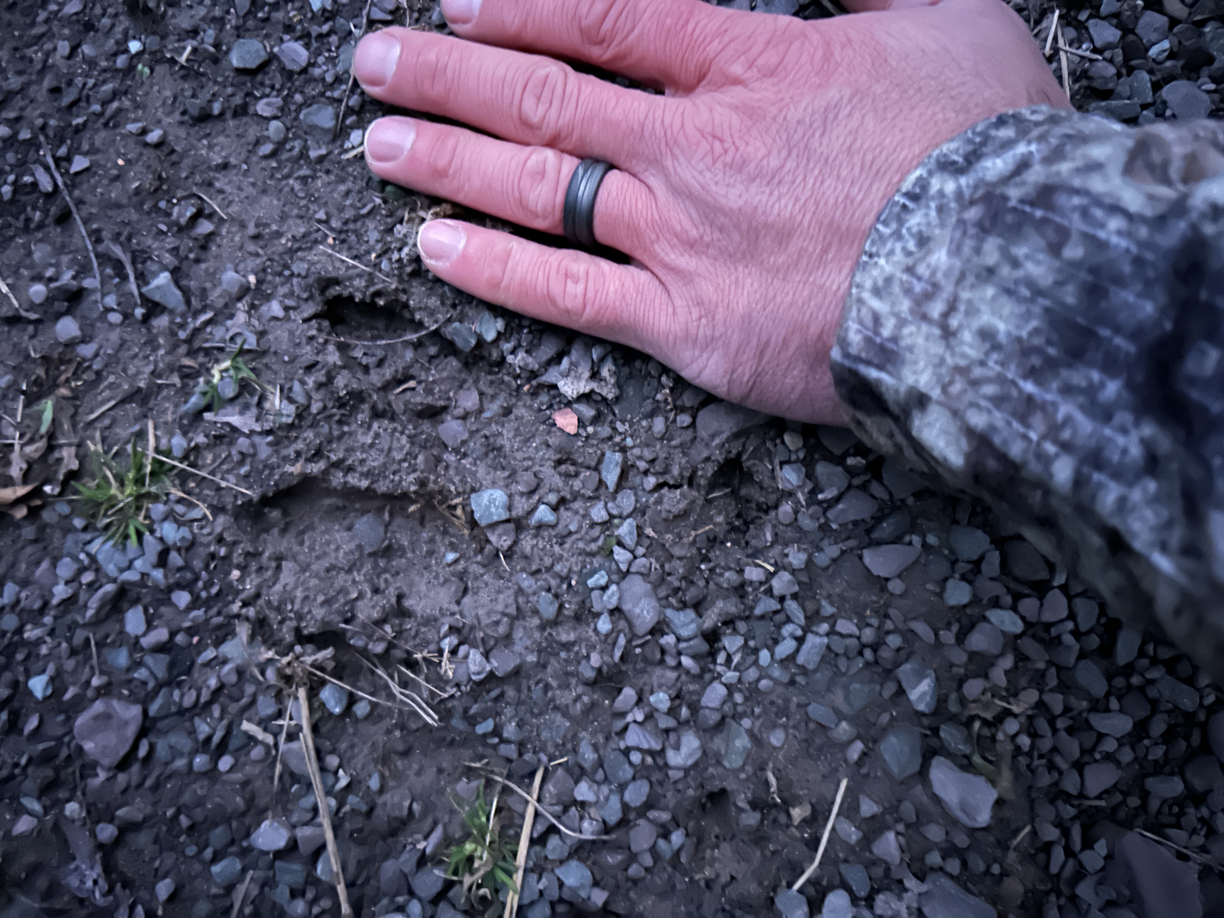 EP.455: Topo Maps, Scouting & Shot Placement Tips