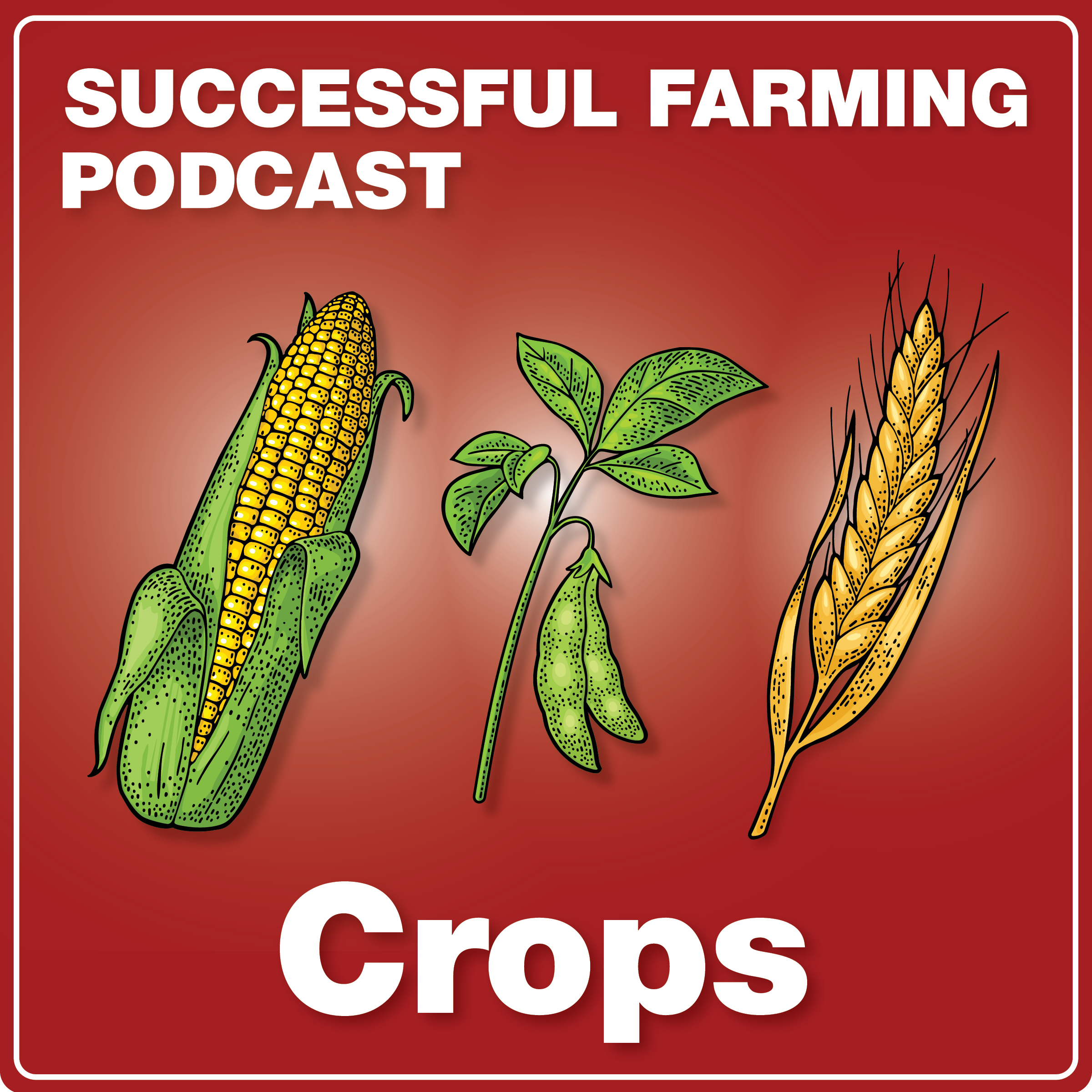 Scouting Smart: How to Stay Ahead of Wheat Scab