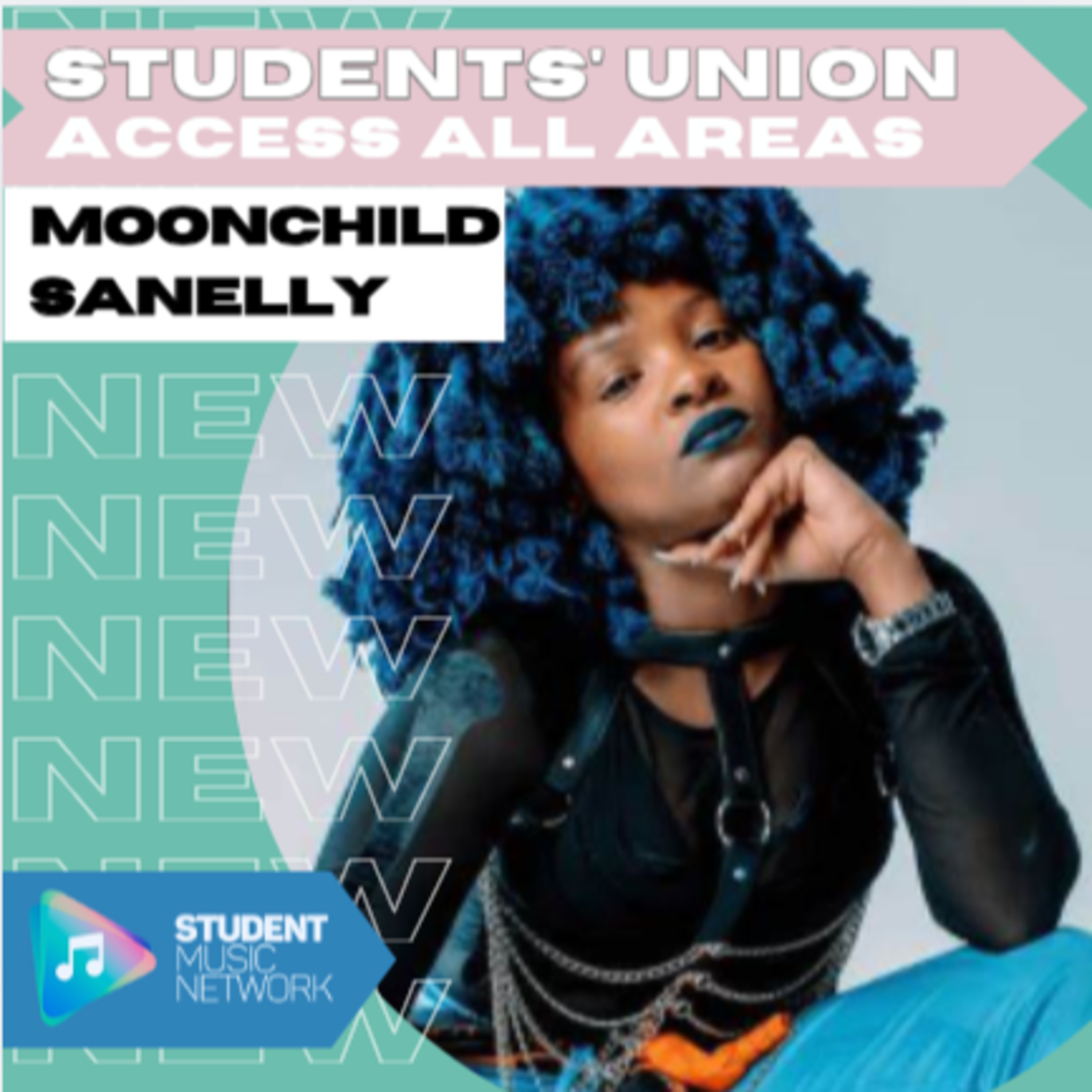 Students\' Union: Access All Areas