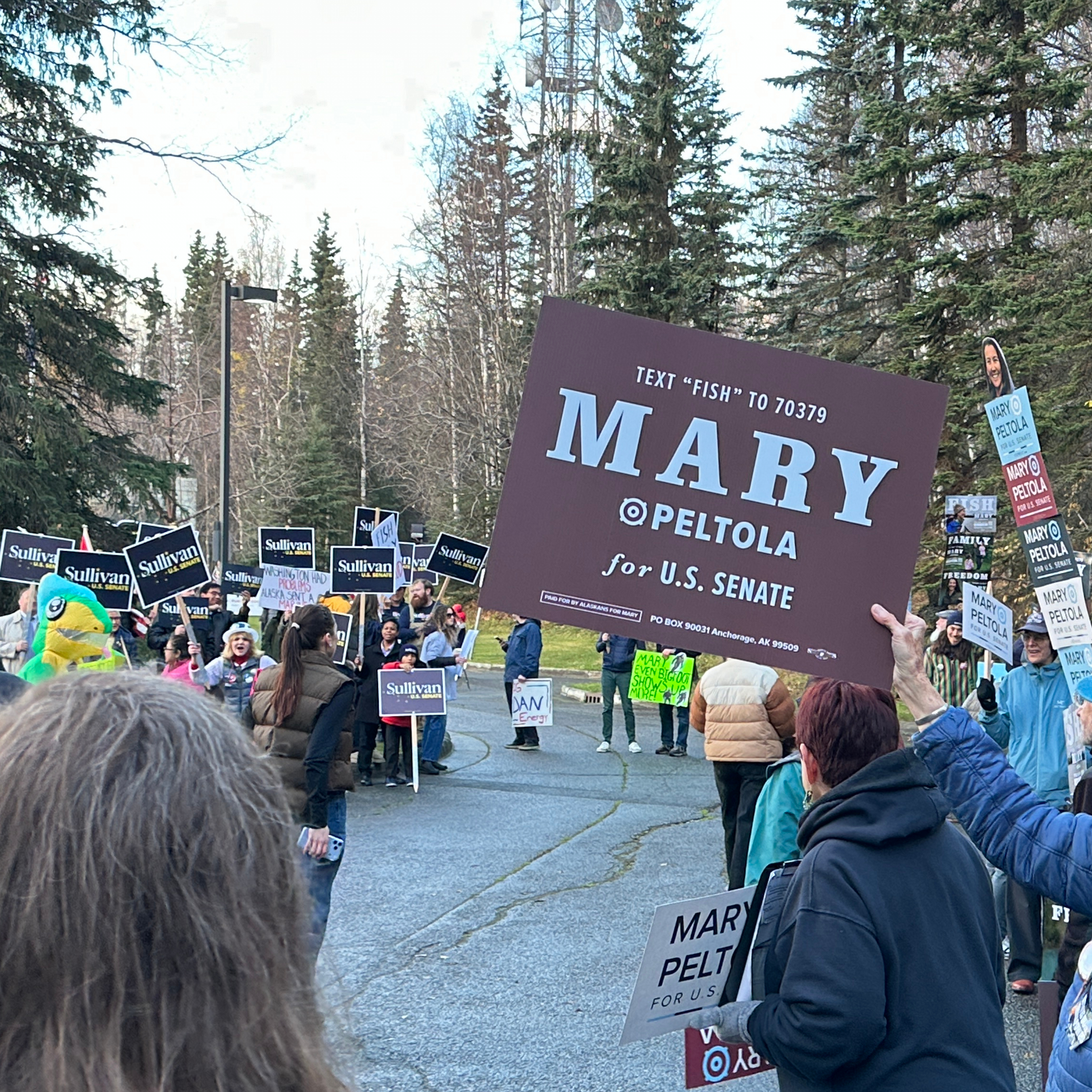 The Midterms' Legal Battleground