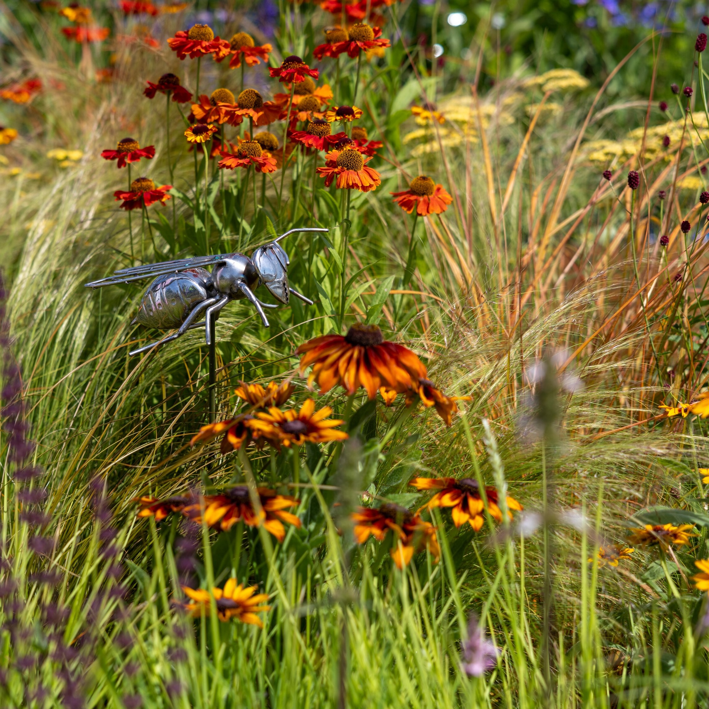 Pollinators at RHS Badminton, Elms at RHS Sandringham, and Edimentals episode artwork