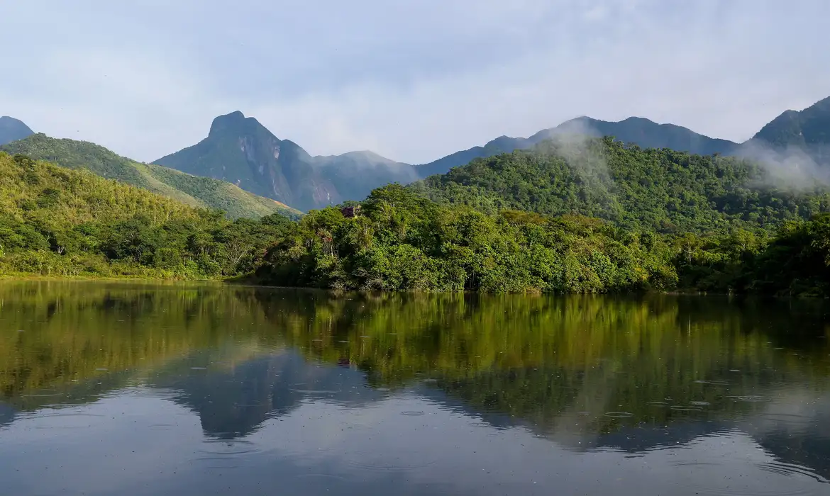 Falta de saneamento mantém qualidade da água dos rios da Mata Atlântica precária, aponta estudo