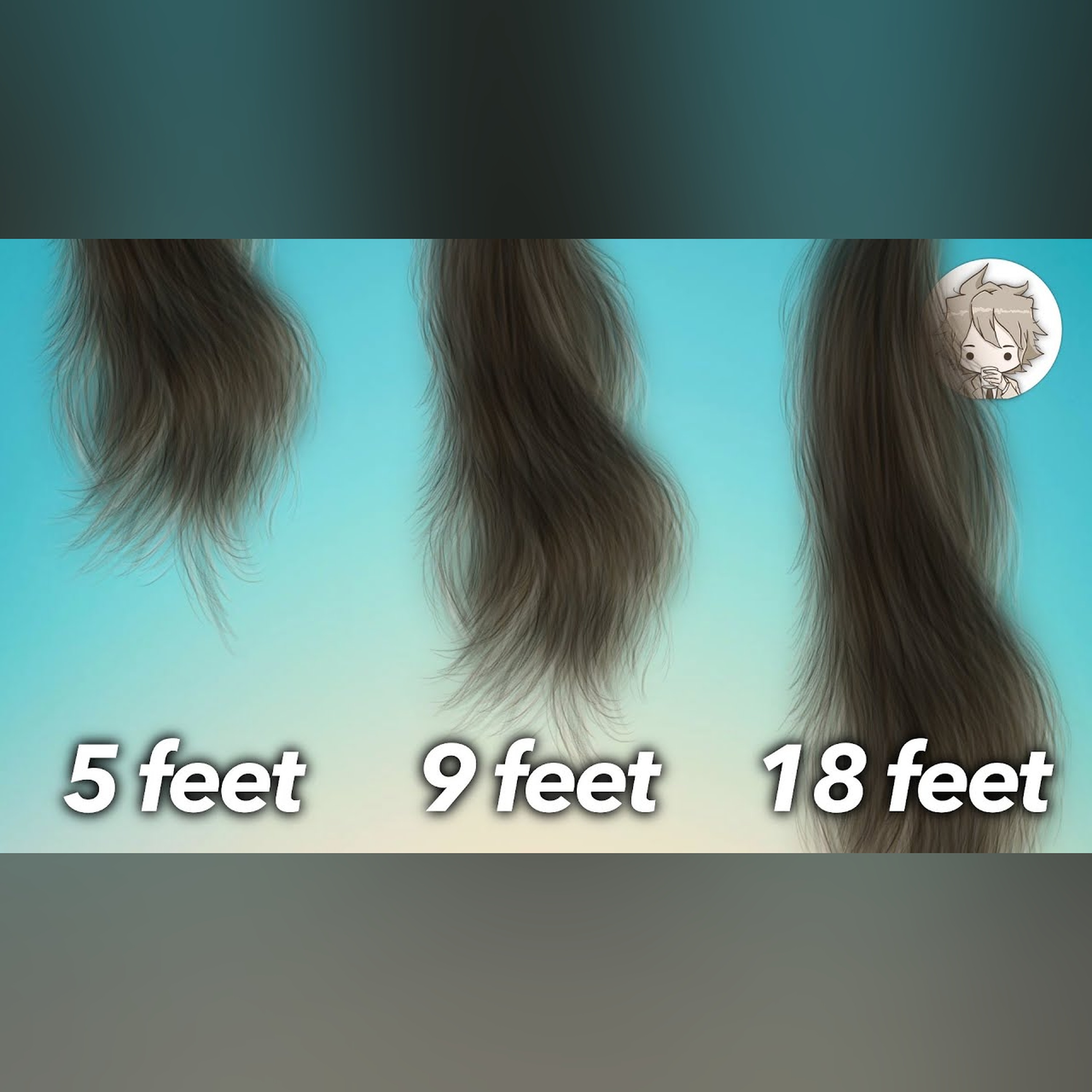 Why Each Person Has a Maximum Length for Hair