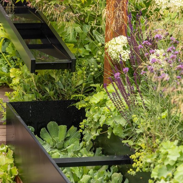 RHS Sandringham Flower Show: climate resilient trees, rainwater capture, frogs