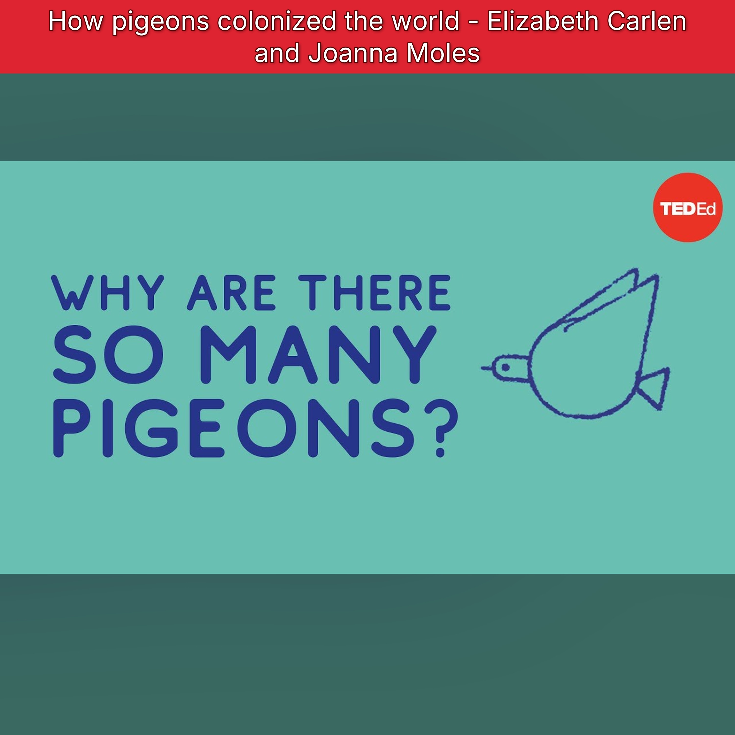 TED-Ed