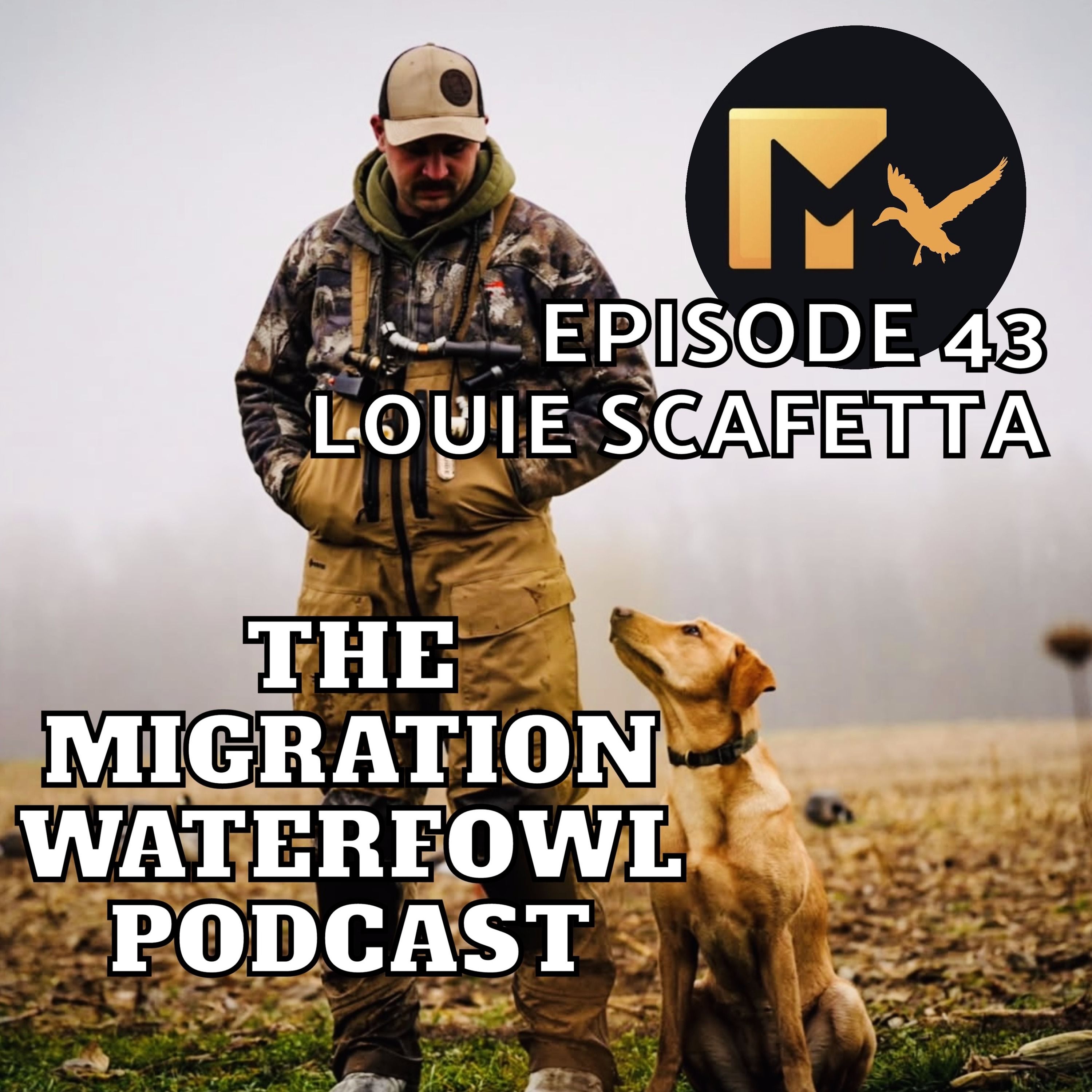 The Migration Waterfowl Podcast
