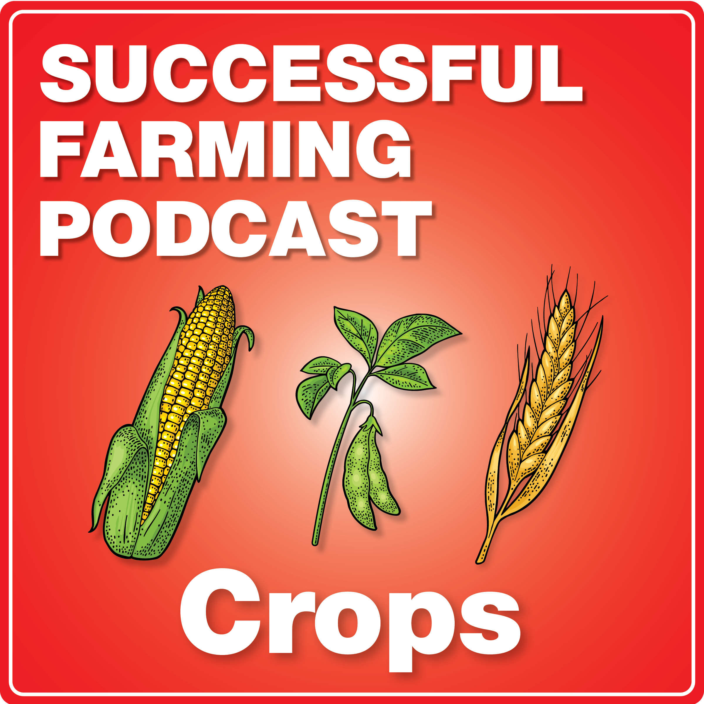 Cover Crop Termination – Best Practices Before Corn and Soybeans.