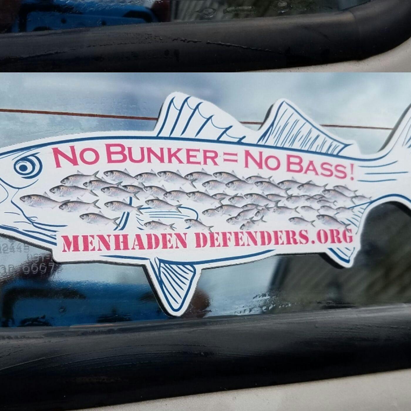 If We Lose This Fish We Lose It All - A Conversation with Menhaden Defender's Paul Eidman If We Lose This Fish We Lose It All - A Conversation with Menhaden Defender's Paul Eidman