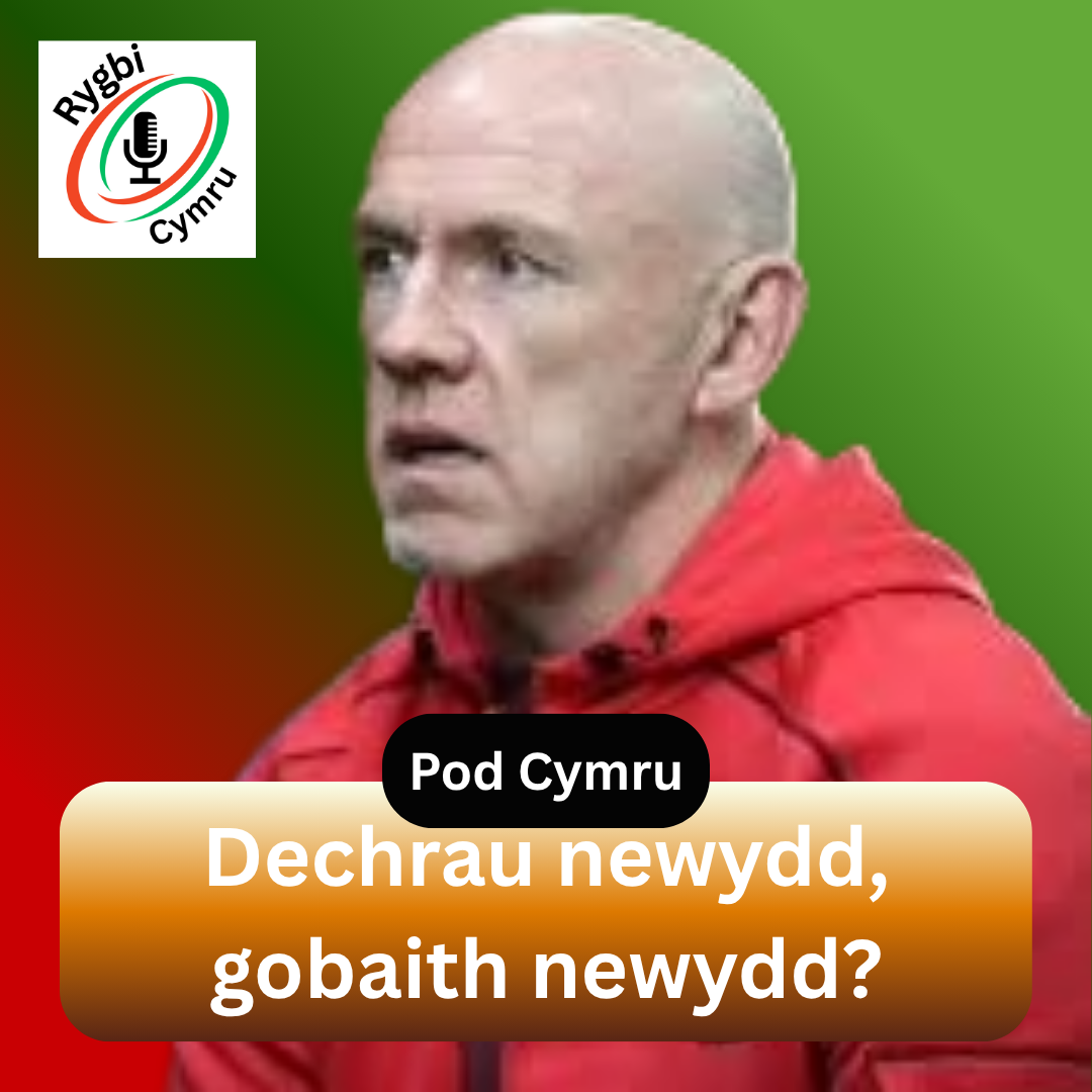 Dechrau newydd, gobaith newydd?