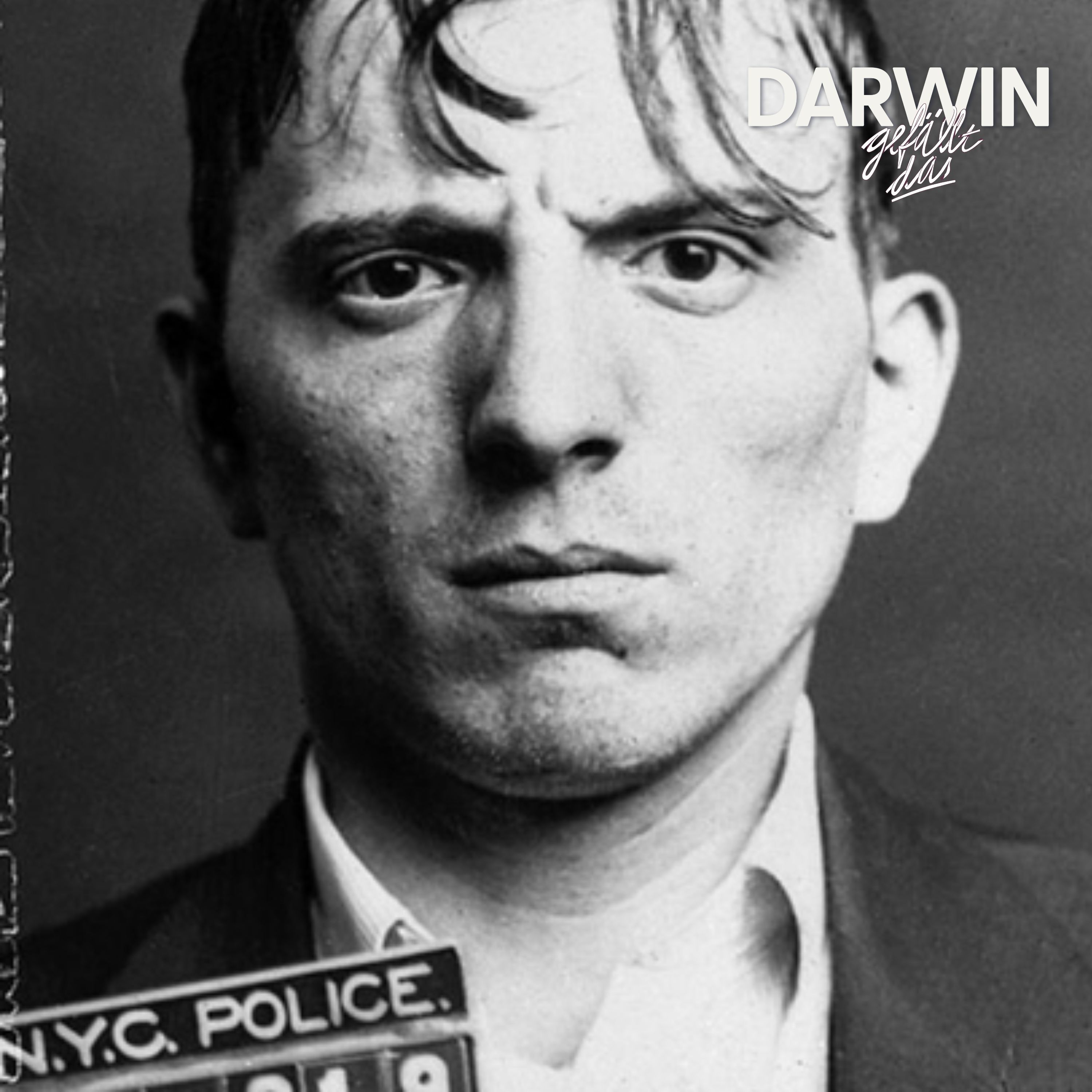 Mike und die Mörderbande