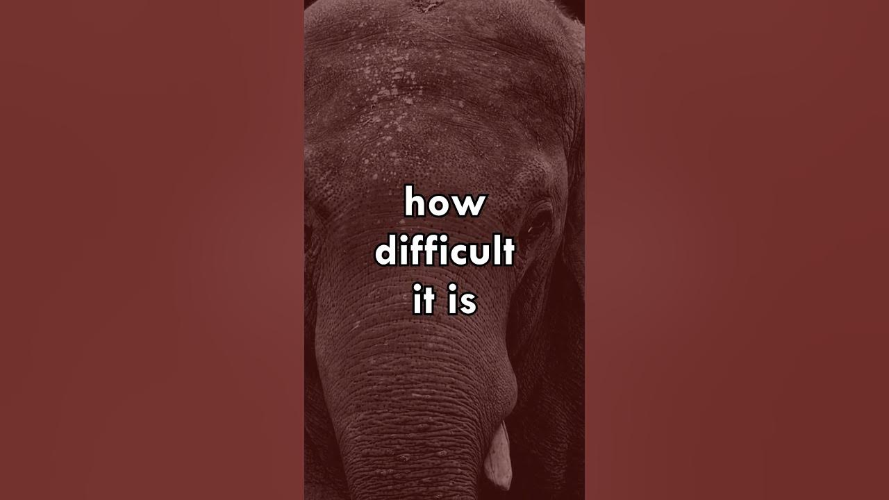 What You Resist, Persists (The Mental Control Paradox) | Einzelgänger