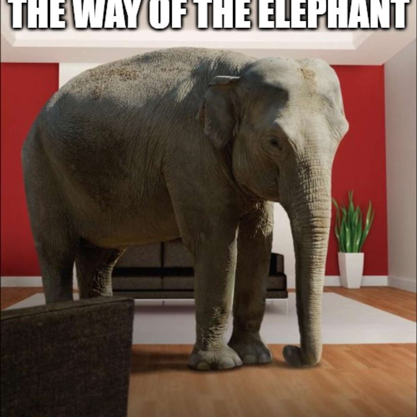 Jamie Clubb\'s Podcast