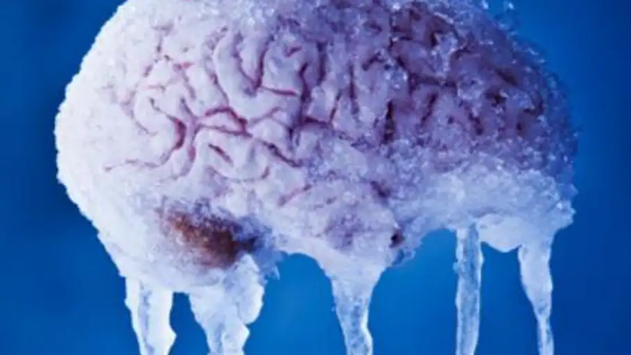 Consiguen reactivar un cerebro criogenizado