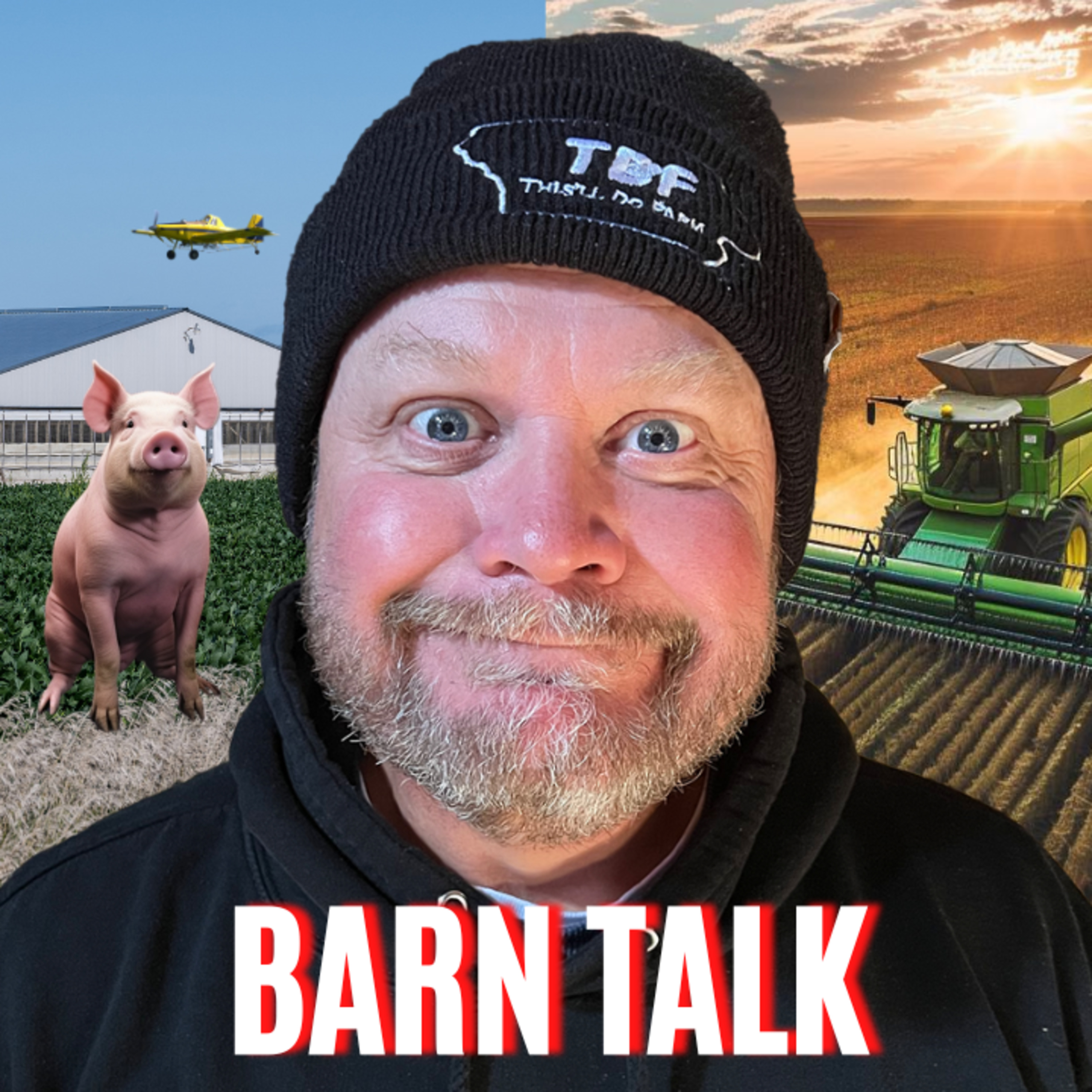 Barn Talk Q&A: Farming Challenges, Airbnb Insights and Hog Barns