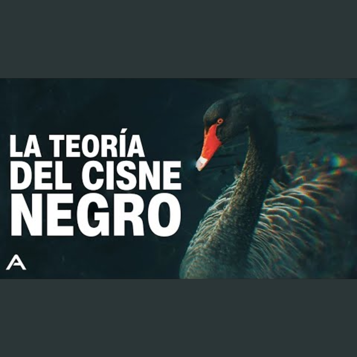 Así cambia el rumbo de las cosas cuando algo altamente IMPROBABLE sucede