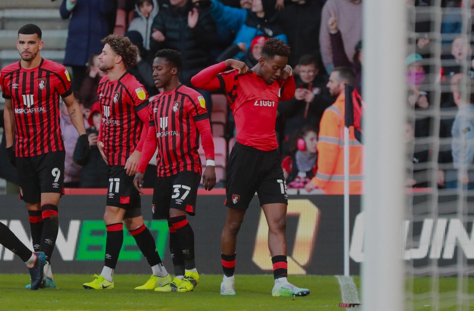 Back Of The Net - The AFC Bournemouth Podcast