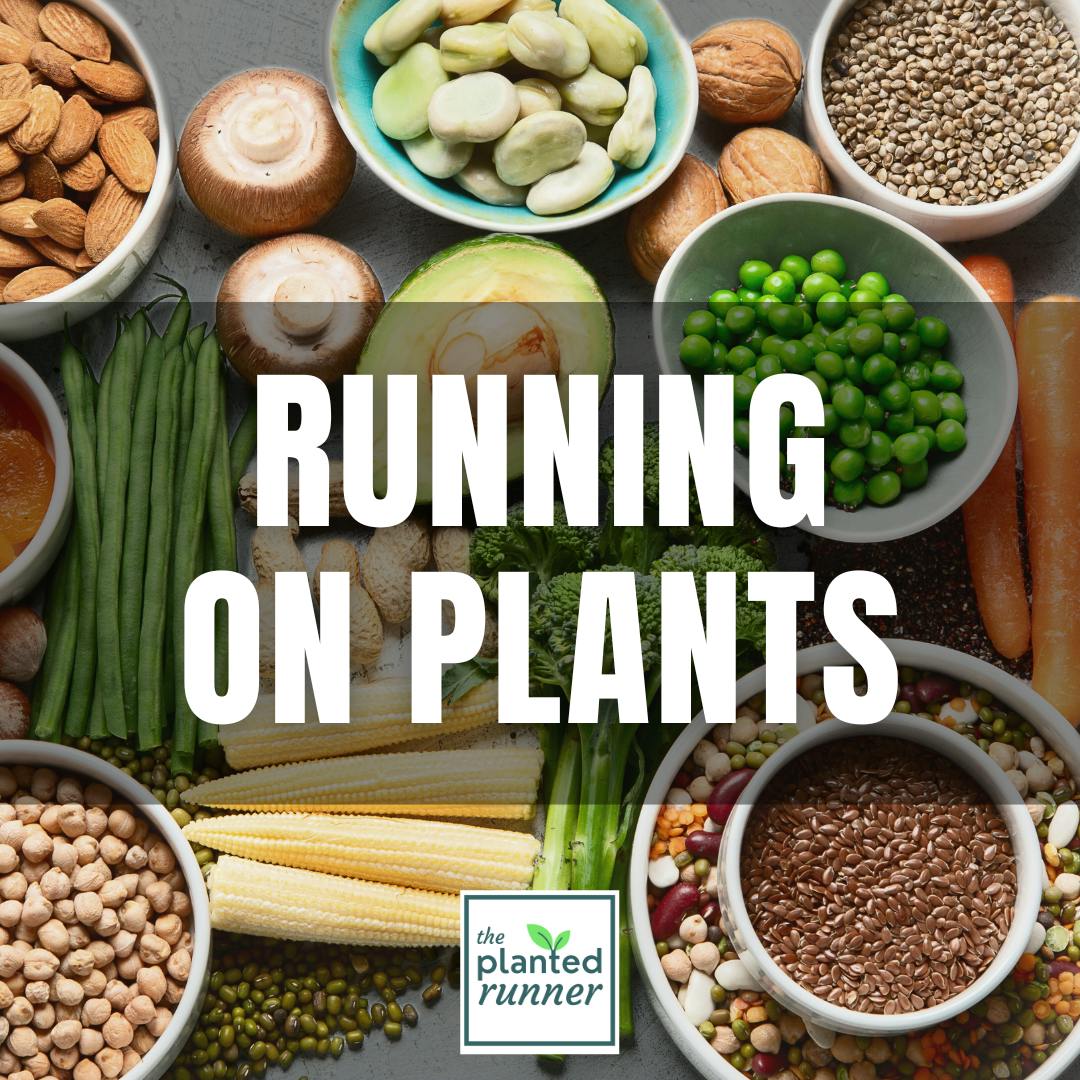 Simple, Hearty, and Delicious: How to Build a Plant-Based Diet that Works for Busy Athletes