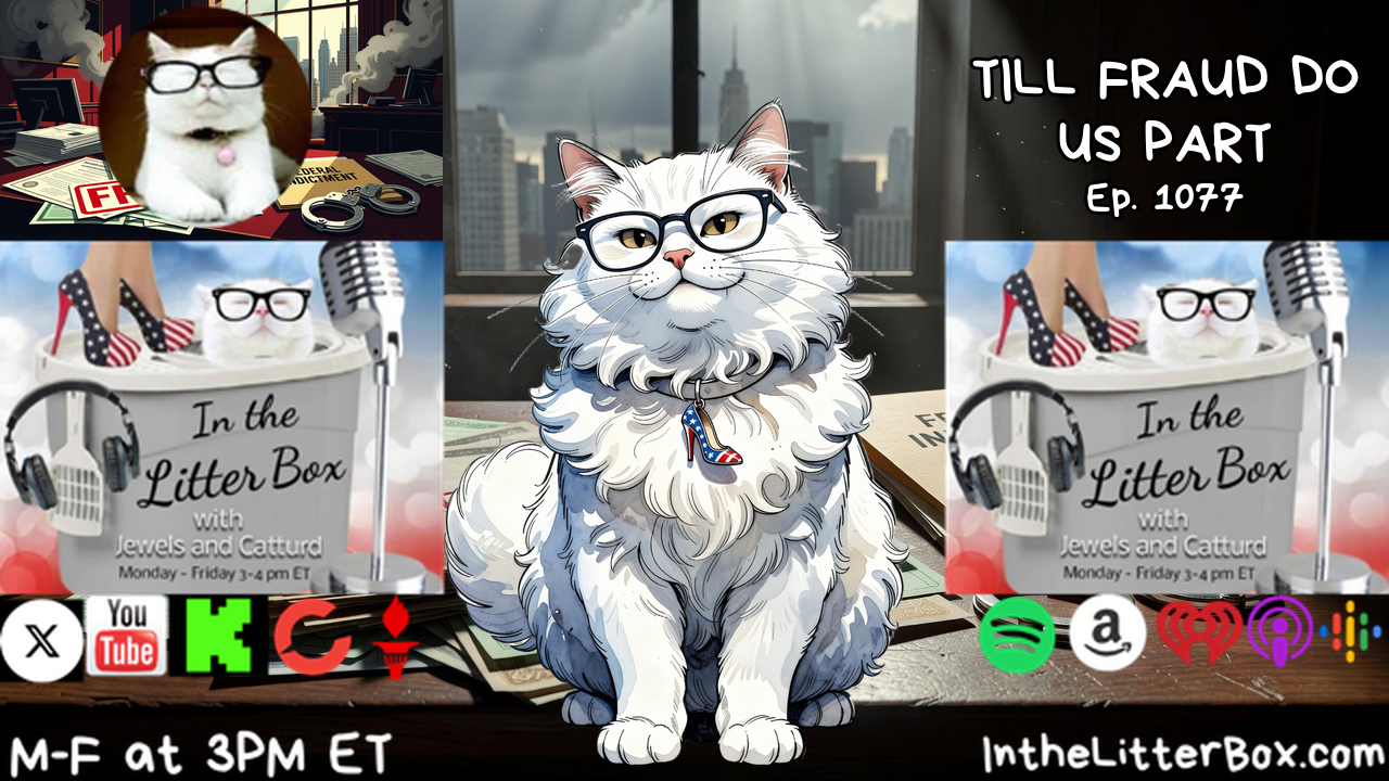 TILL FRAUD DO US PART | In the Litter Box w/ Jewels & Catturd – Ep. 1077 – 8/13/2026