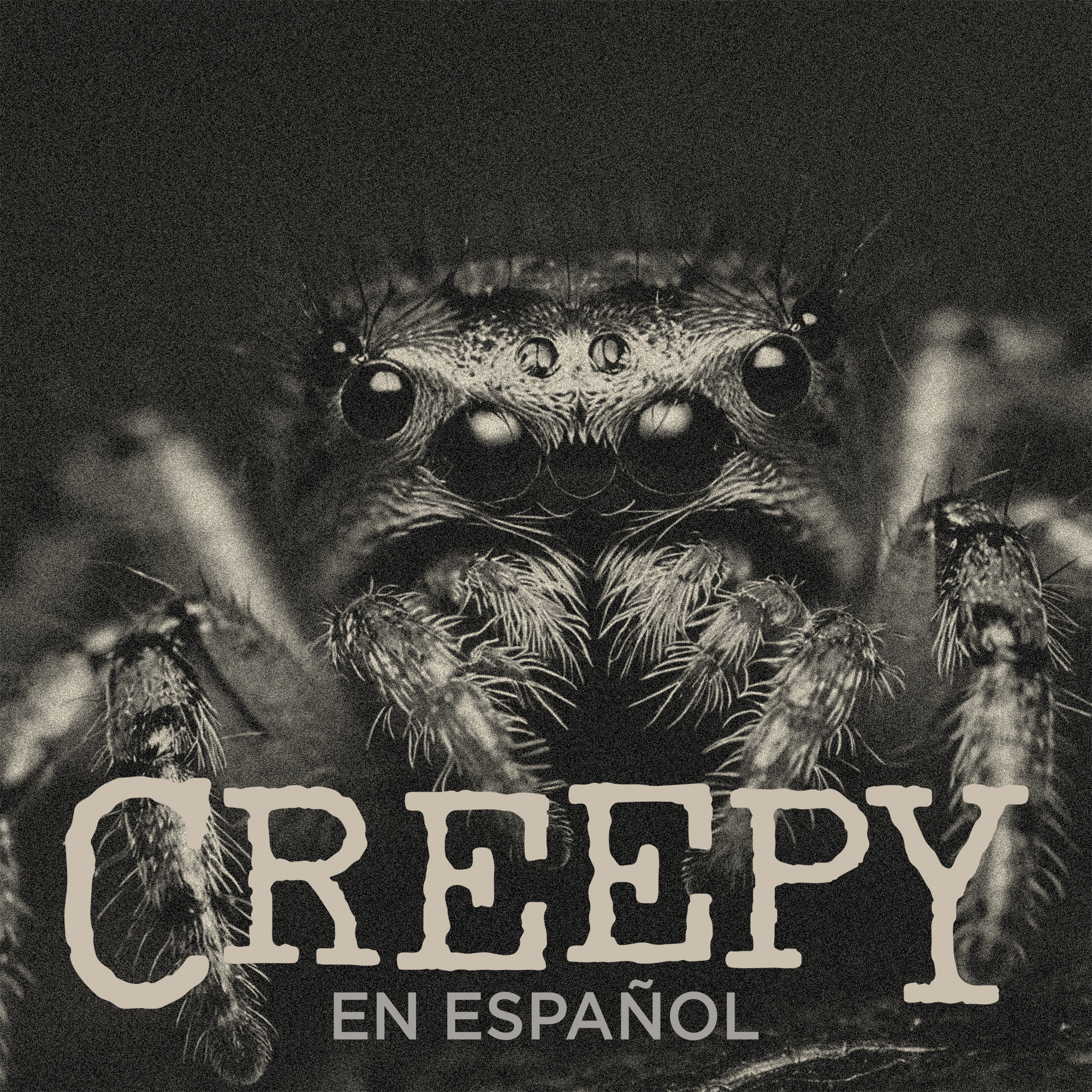 Dos historias horribles de insectos