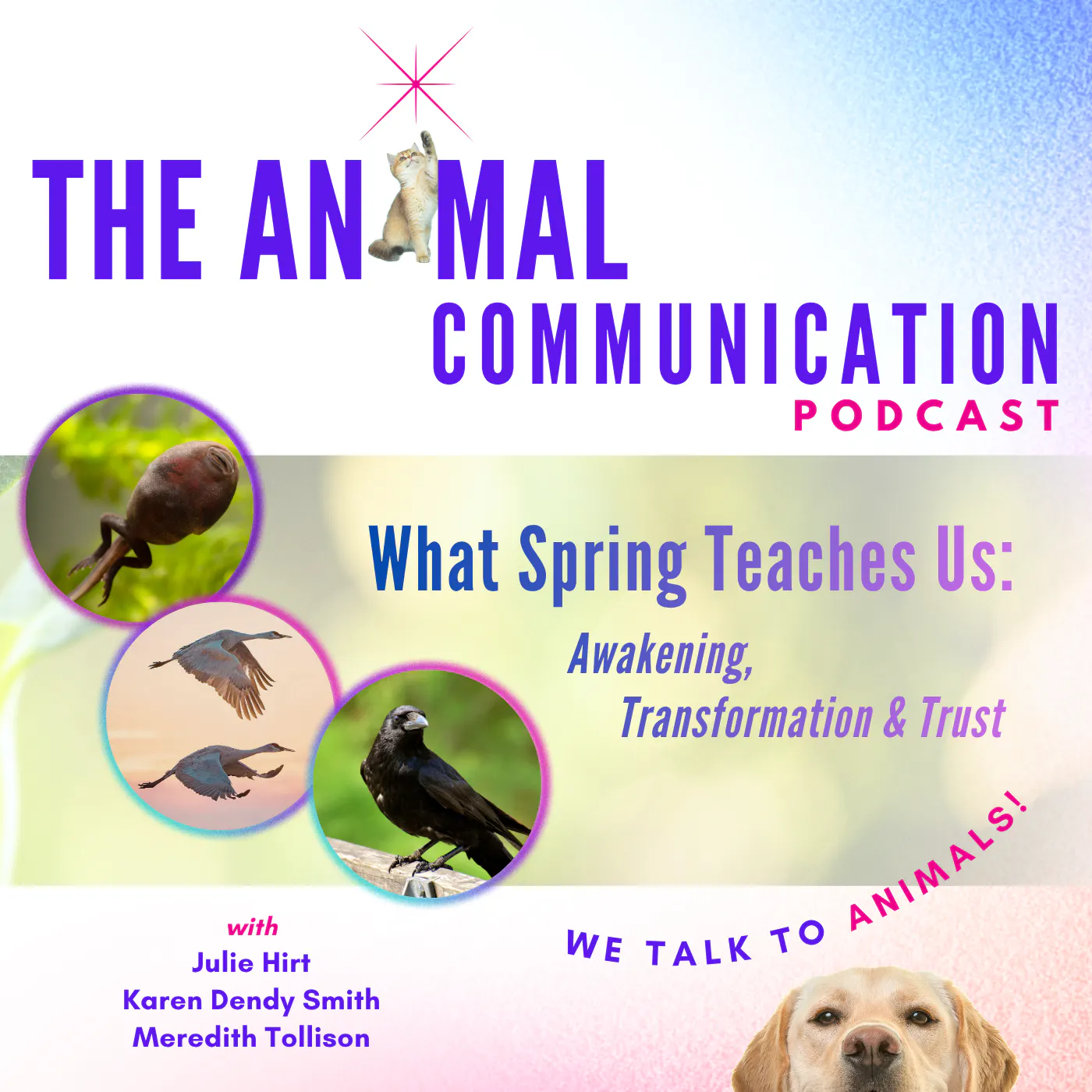 What Spring Teaches Us: Awakening, Transformation & Trust episode artwork