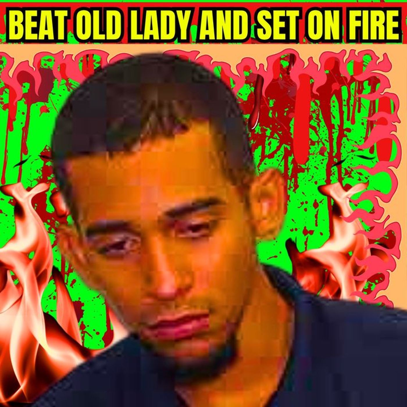75 Year Old Lady Beaten and Set on Fire by Best Buy Deliveryman episode artwork