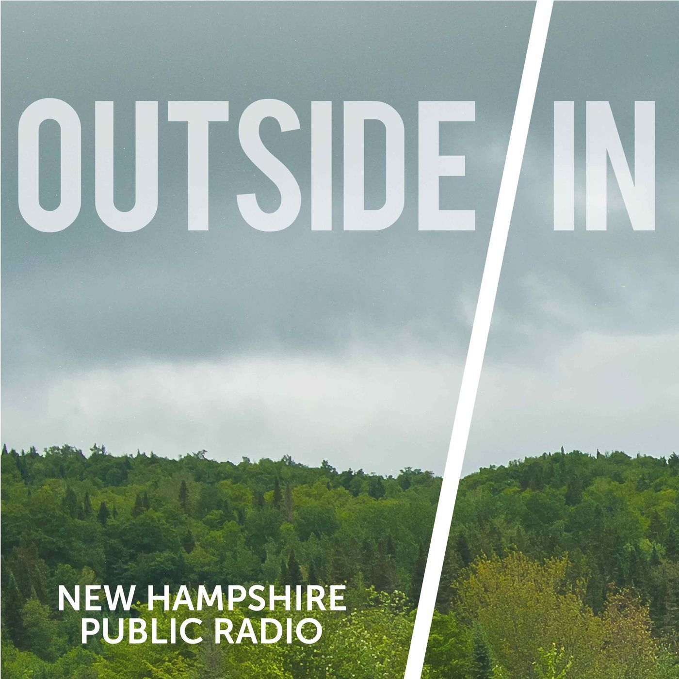 Bonus: Ciao for Now, Sam Evans-Brown