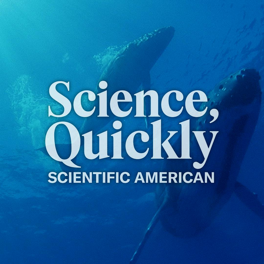 The Science behind Humpback Whales’ Eerie Songs