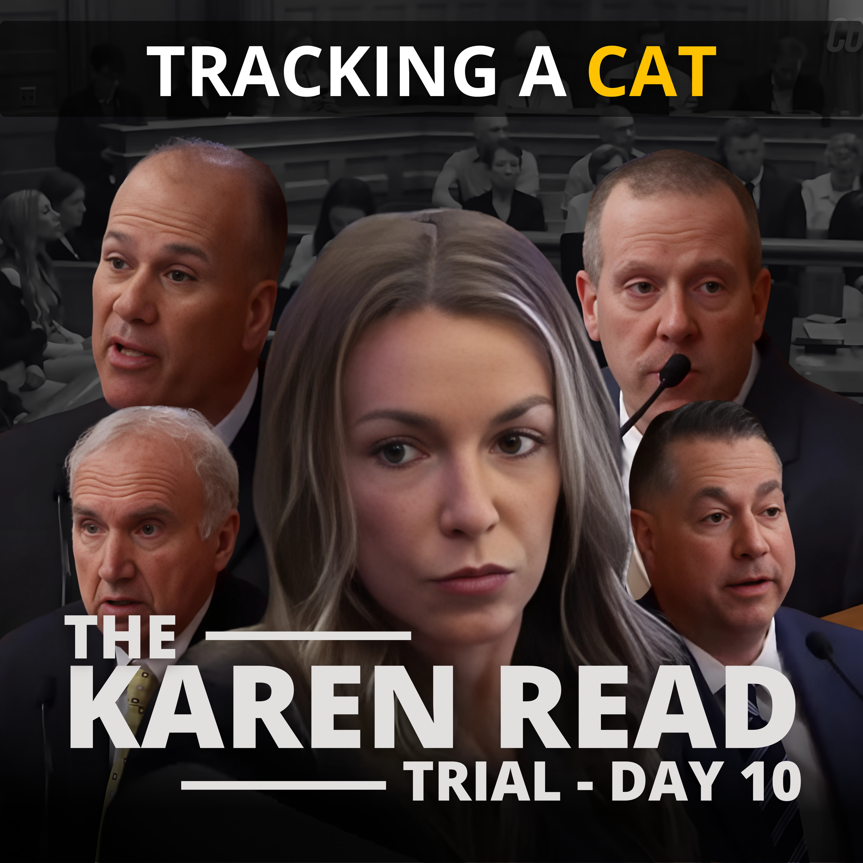 The Alternate: Inside America\'s Biggest Trials