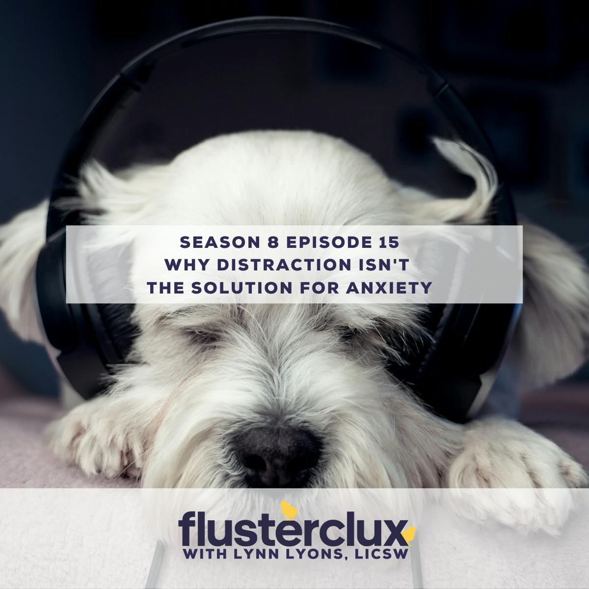 Why Distraction Isn't The Solution For Anxiety Why Distraction Isn't The Solution For Anxiety