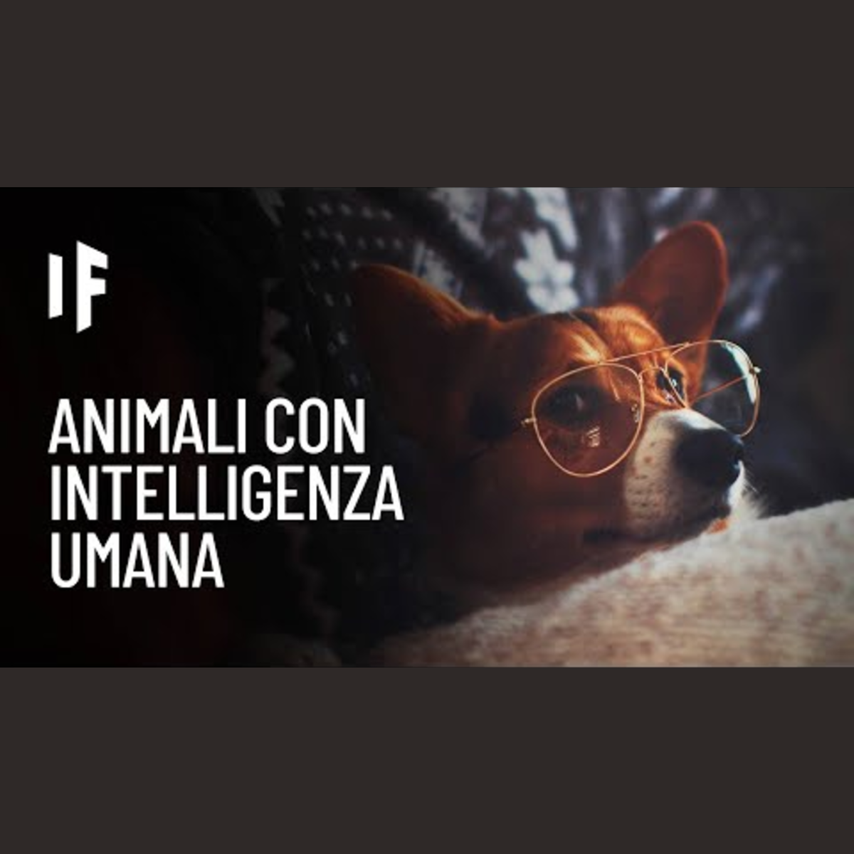 E se tutti gli animali fossero intelligenti quanto gli esseri umani? episode artwork