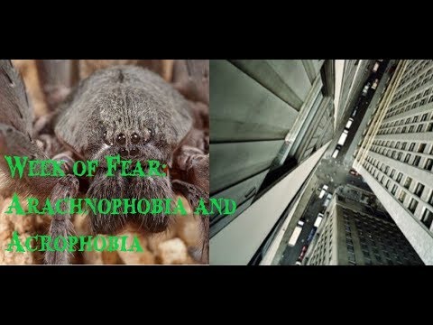 Week of Fear: Arachnophobia and Acrophobia episode artwork