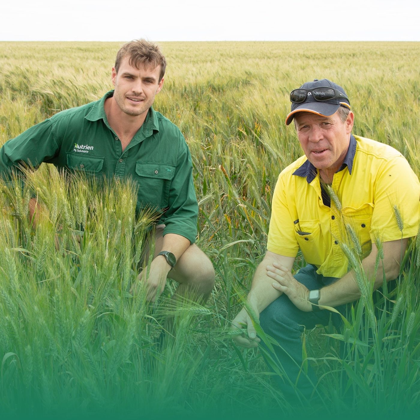 Durum: Gross margins and role in rotation