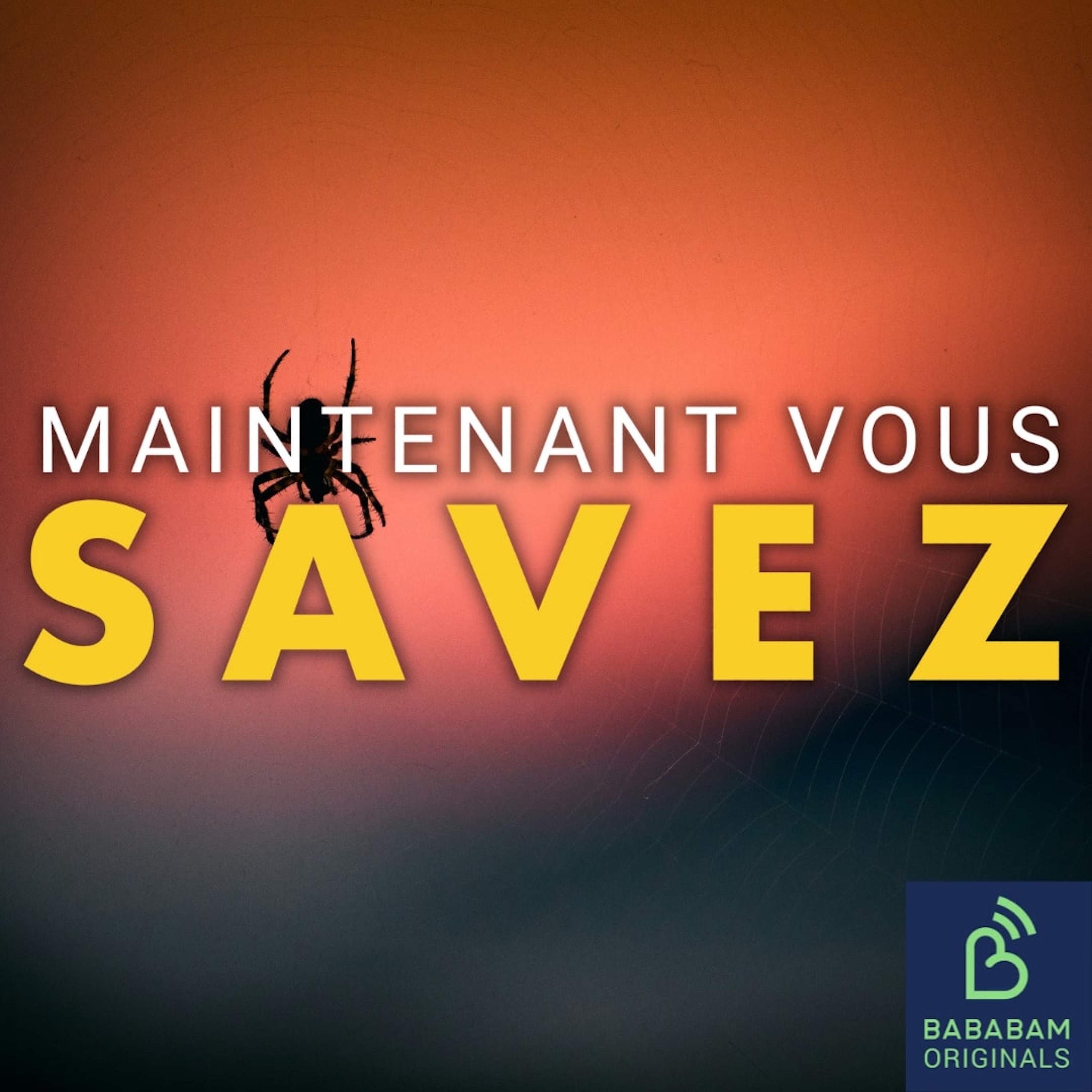 Pourquoi les araignées sont-elles utiles à votre maison ?