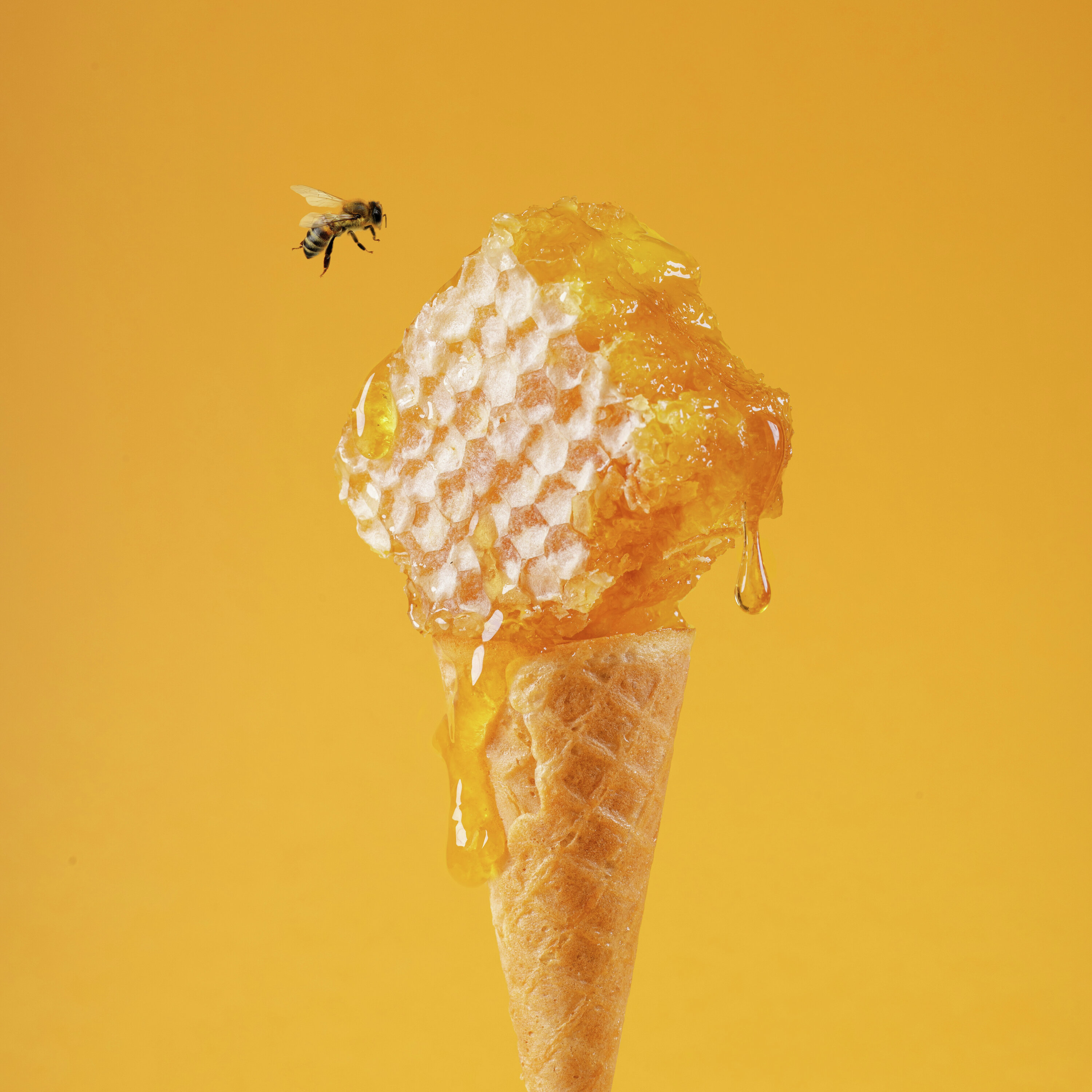 Ep. 414: Busy Bees & Reframing Imperfection