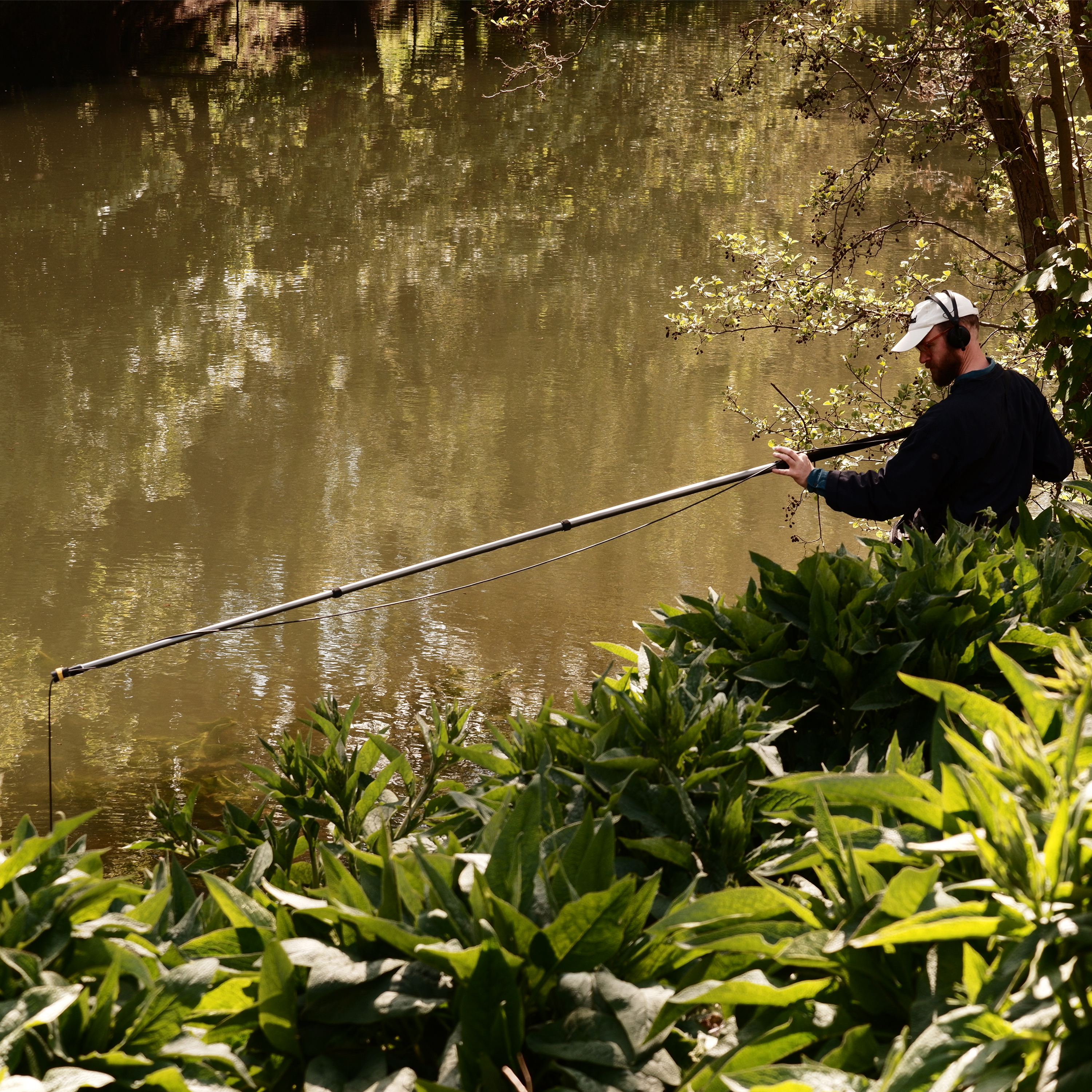 262. Explore the strange music within ponds with Alice Boyd