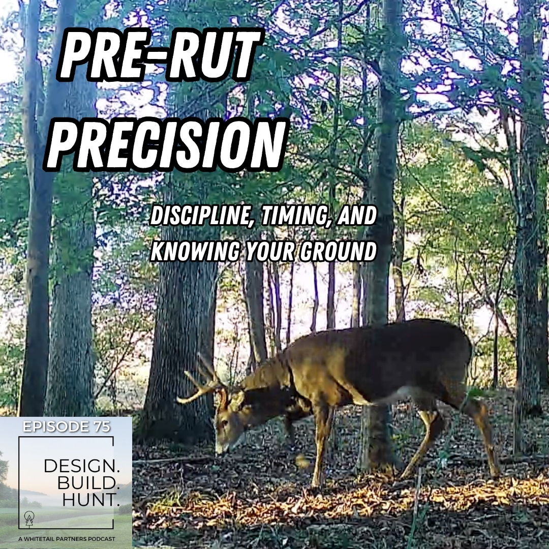 75. Pre-Rut Precision: The Discipline That Kills Big Bucks episode artwork