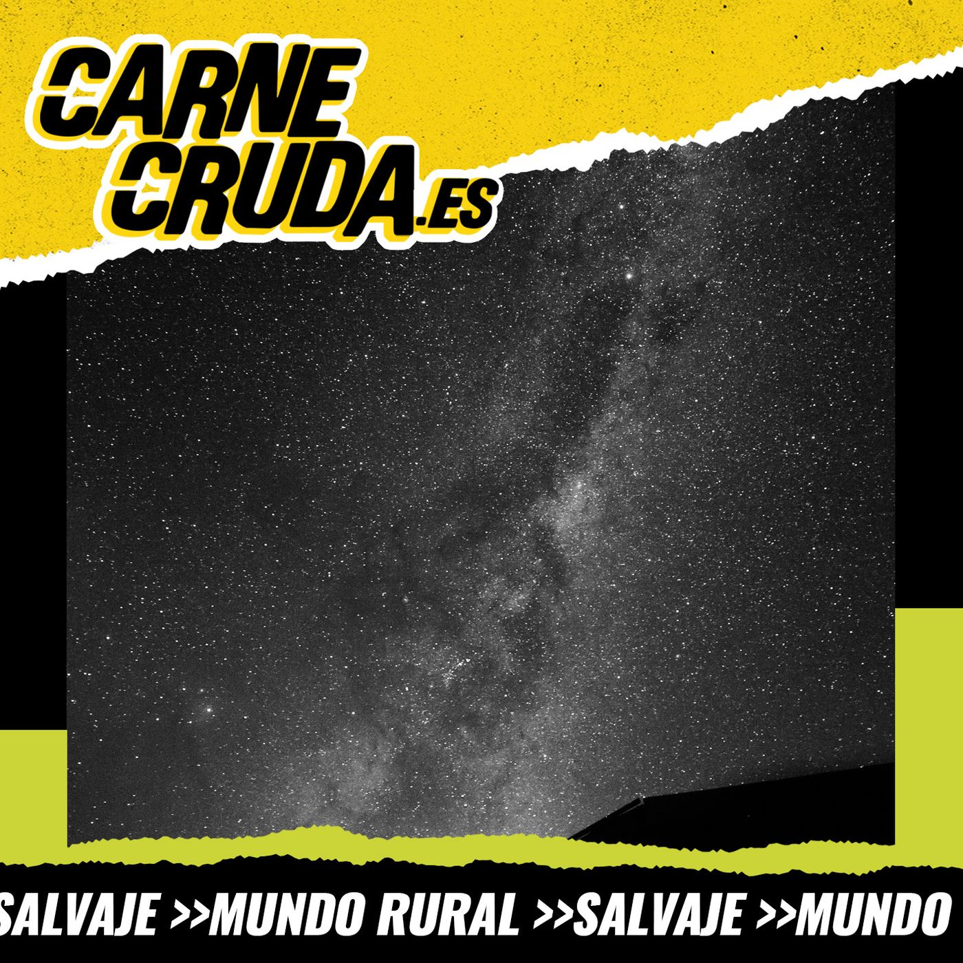 Si perdemos las estrellas: la contaminación lumínica apaga el cielo (SALVAJE - CARNE CRUDA - #1154)