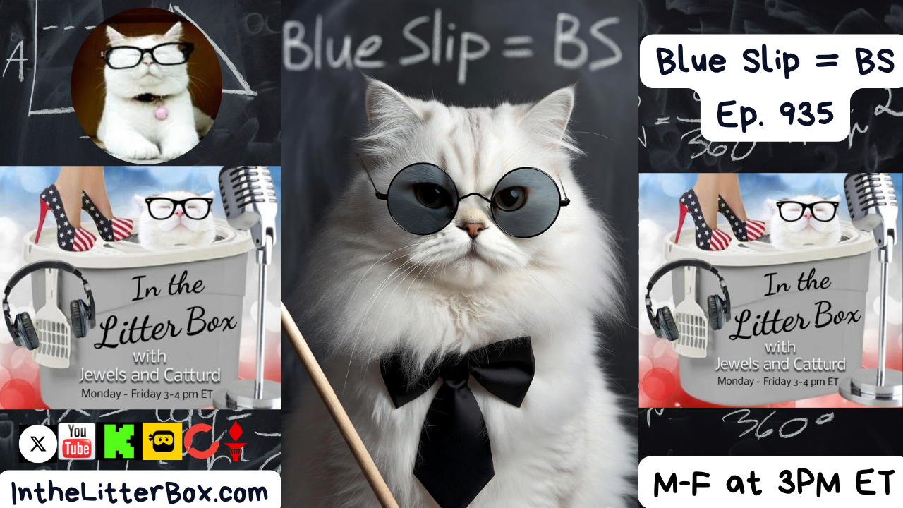 Blue Slip = BS | In the Litter Box w/ Jewels & Catturd – Ep. 935 – 12/10/2025