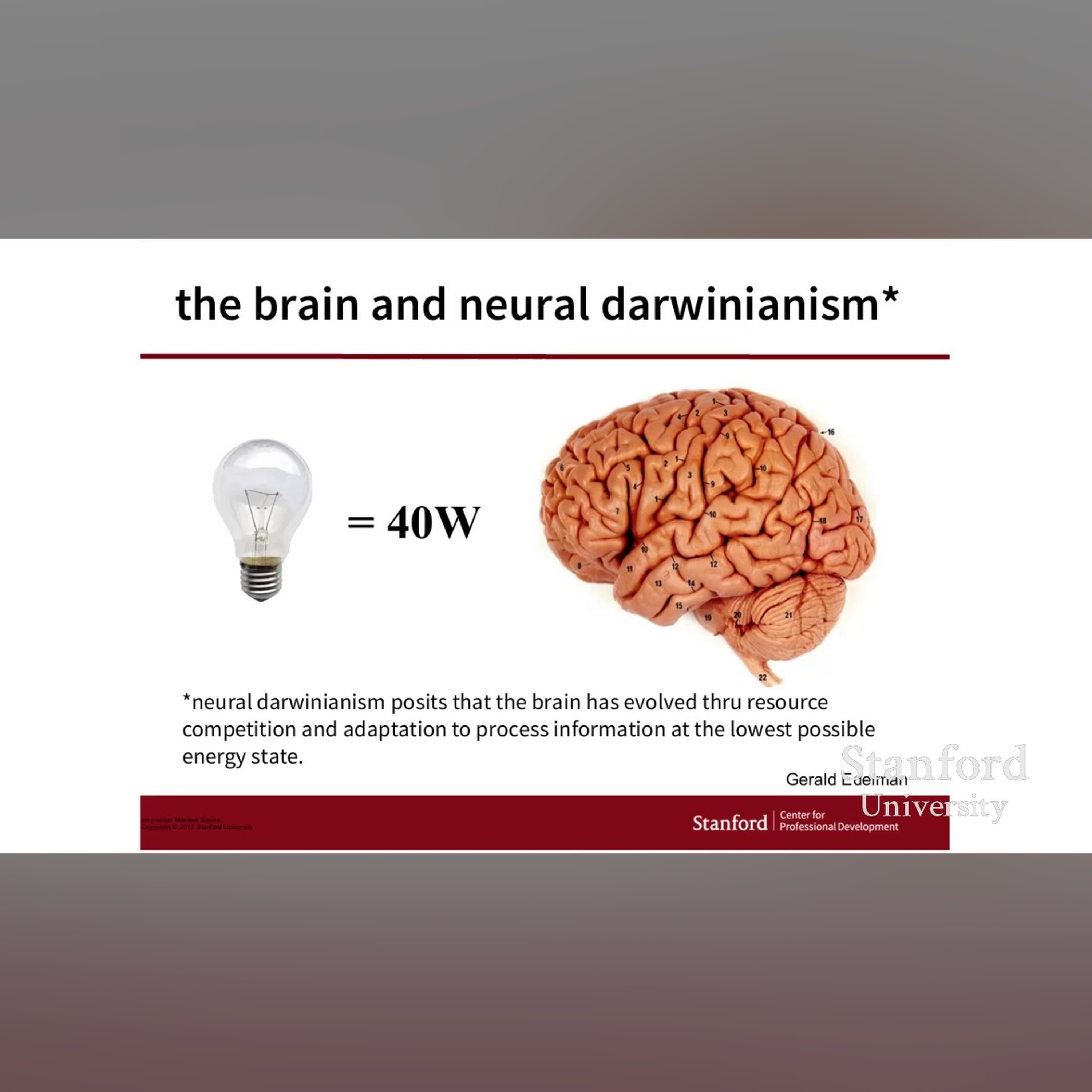 Stanford Webinar:  Cultivate Your Creativity