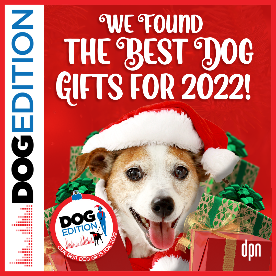 We Found the Best Dog Gifts for 2022! | Dog Edition #73