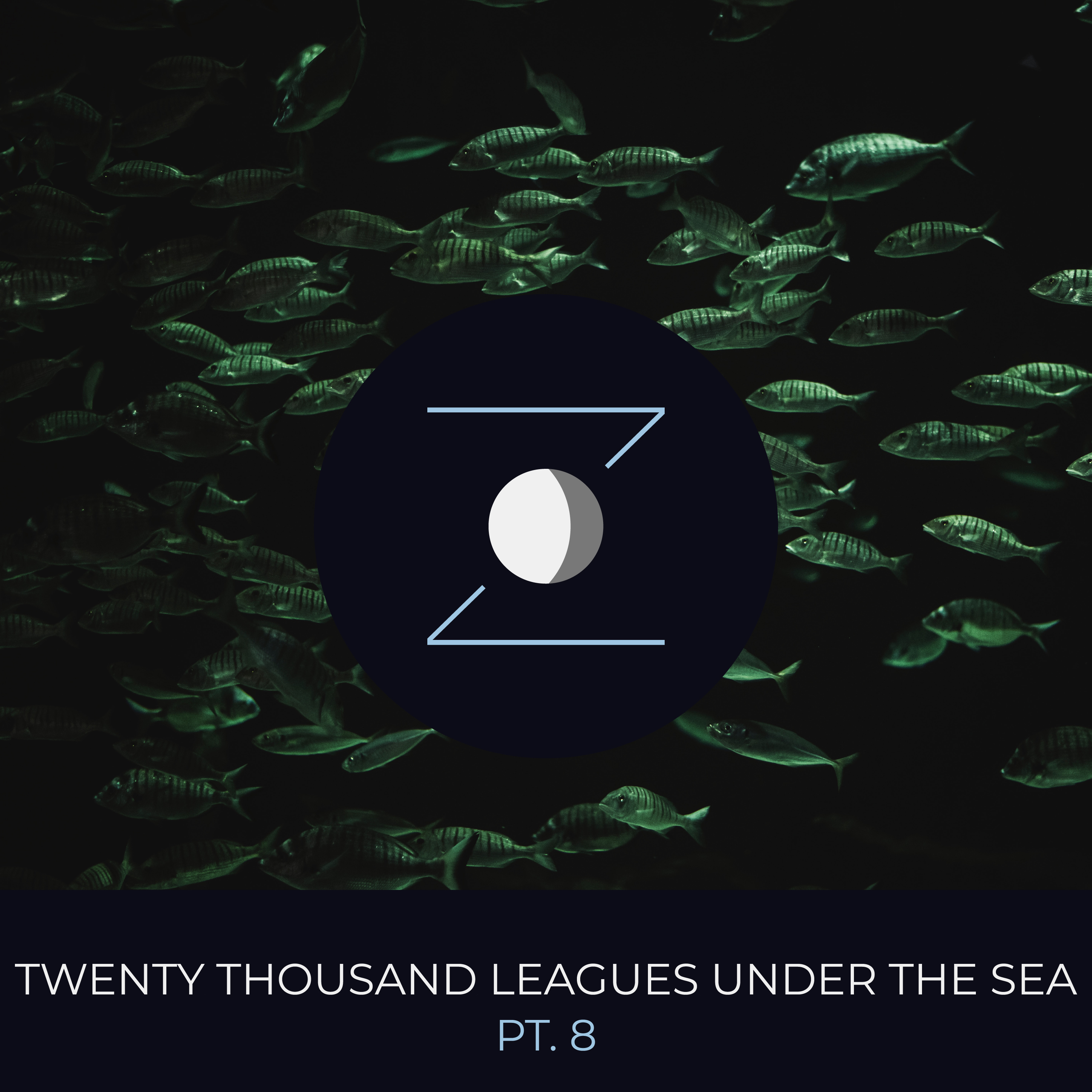 Twenty Thousand Leagues Under the Sea pt. 8 episode artwork