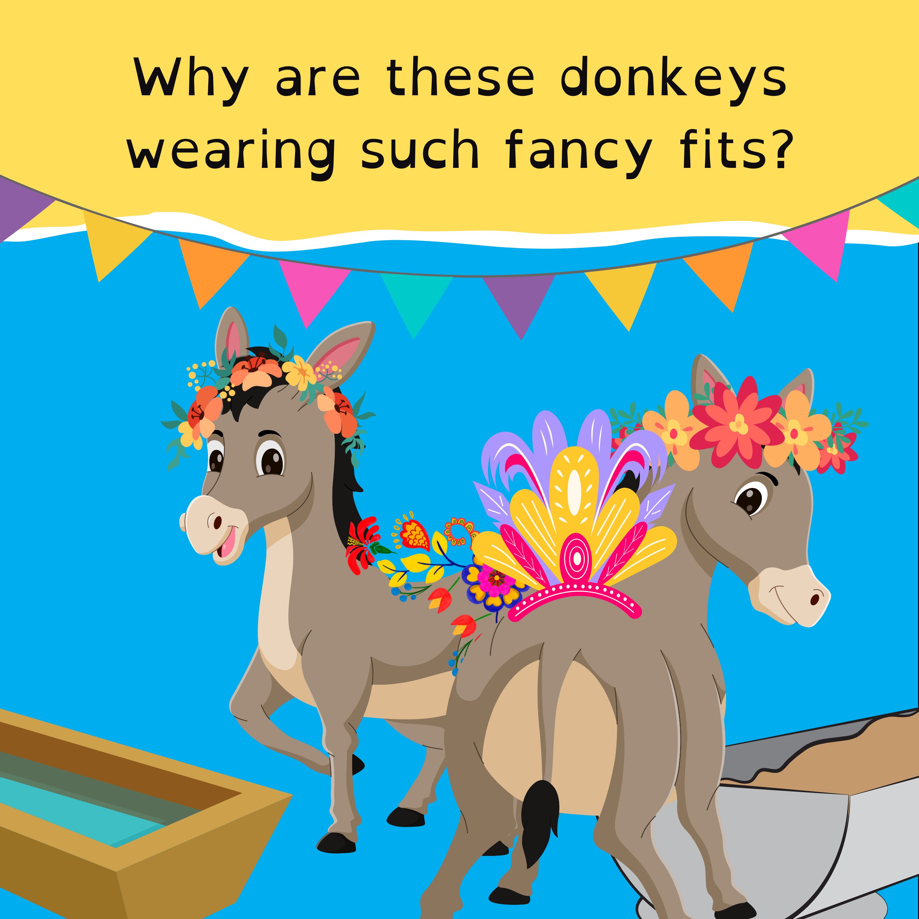 Space storm’s magical light show; Donkey beauty contest in Morocco; Snakes that fake their own death; and Switzerland wins Eurovision.