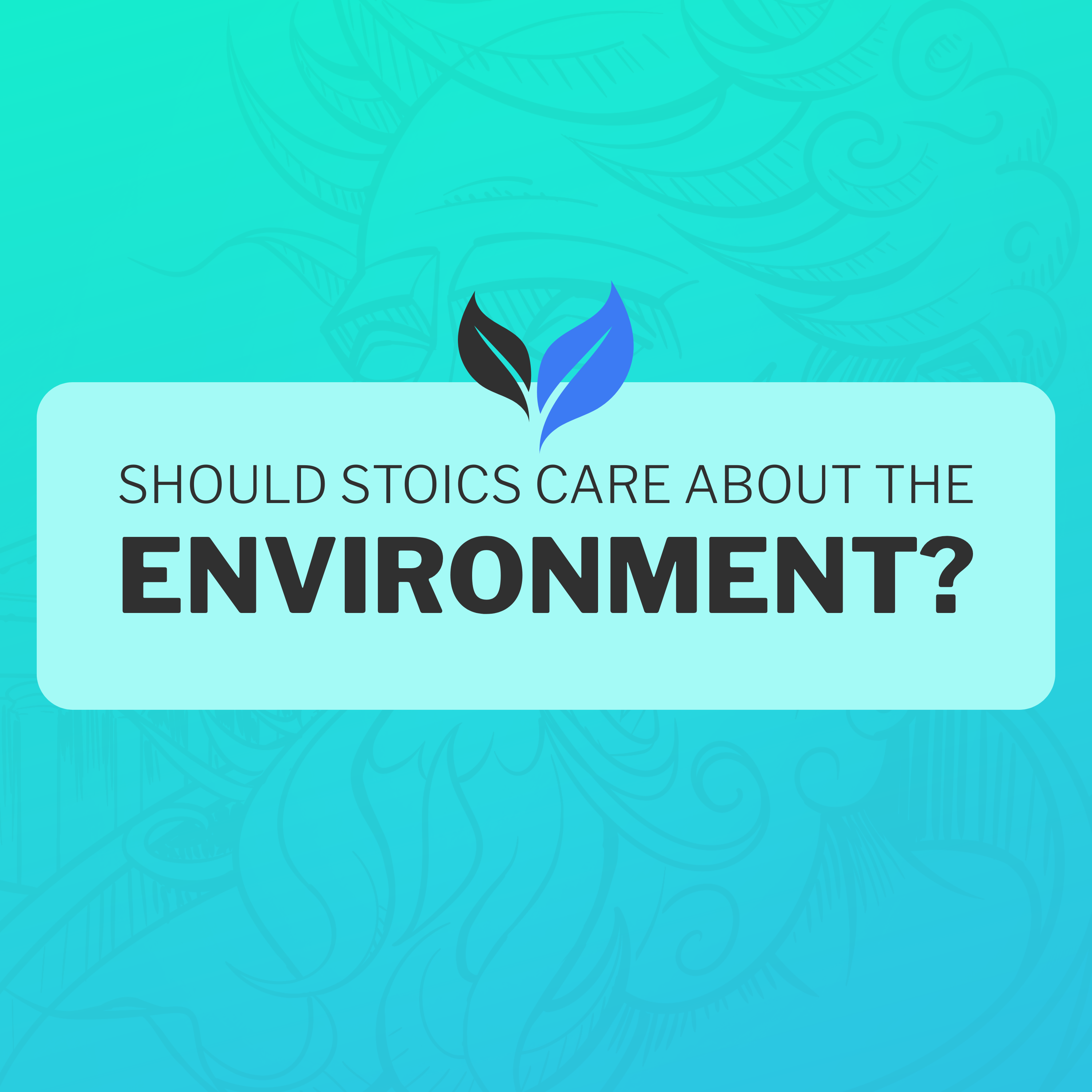 Should Stoics Care About The Environment?