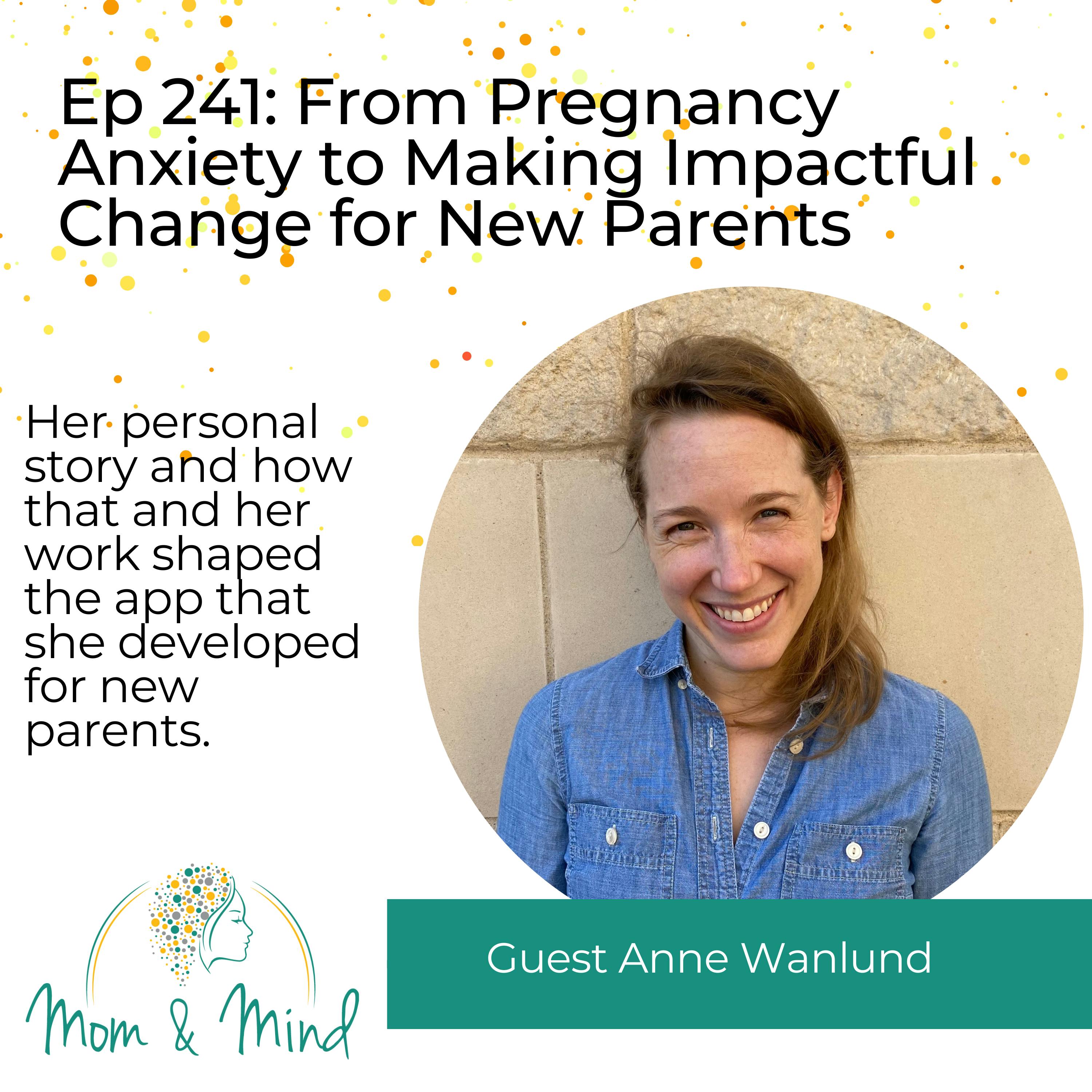 241: From Pregnancy Anxiety to Making Impactful Change for New Parents with Anne Wanlund