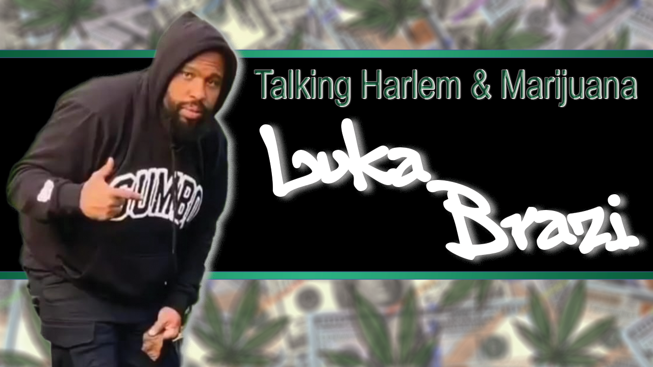 Coastal Chronicles NYC