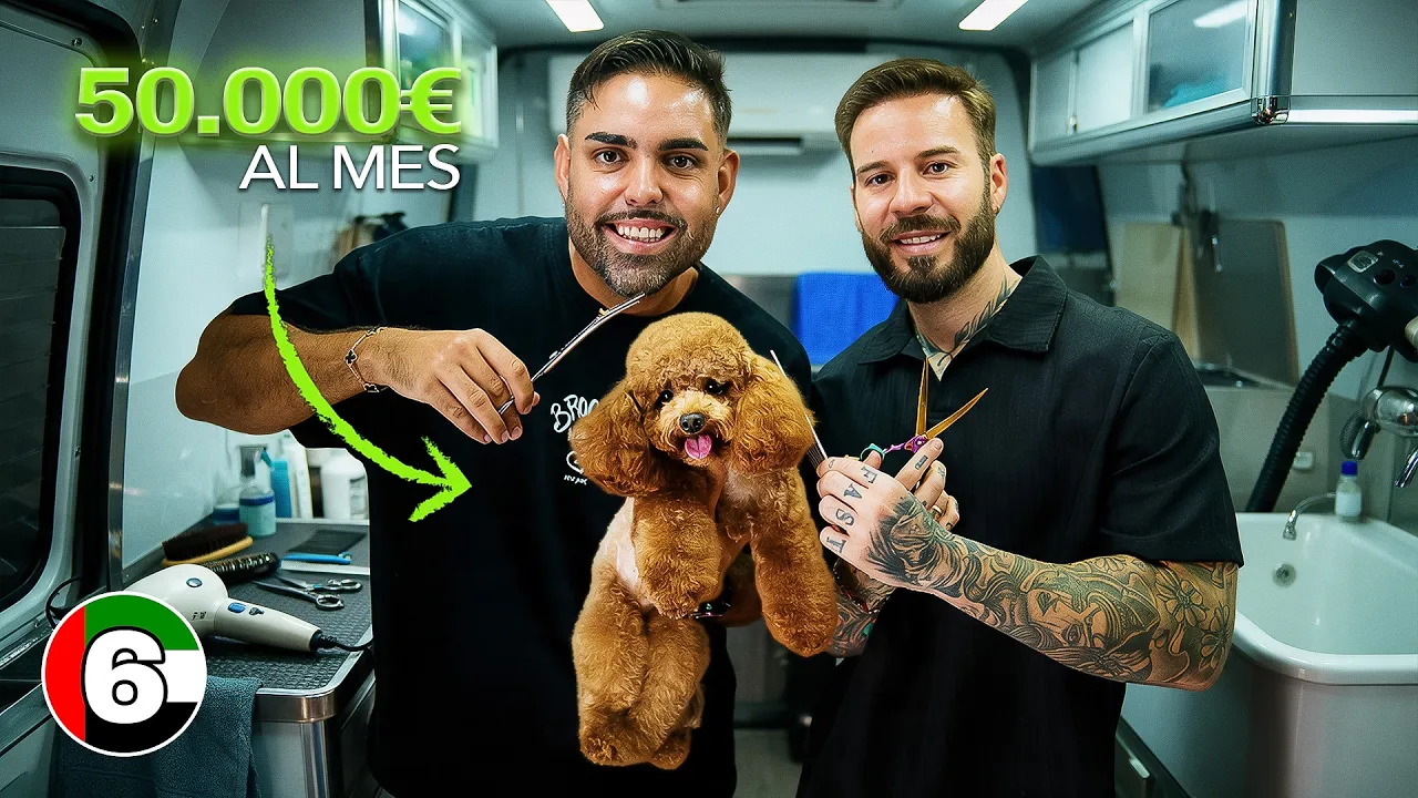 Así Funciona el Negocio de las Peluquerías Caninas 🐶