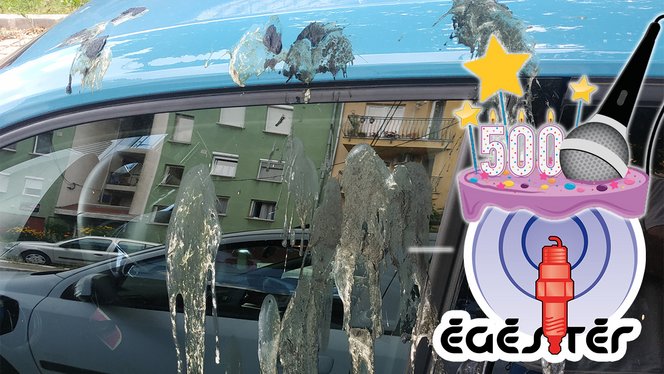 Égéstér 500: Milyen állat műveli ezt? episode artwork