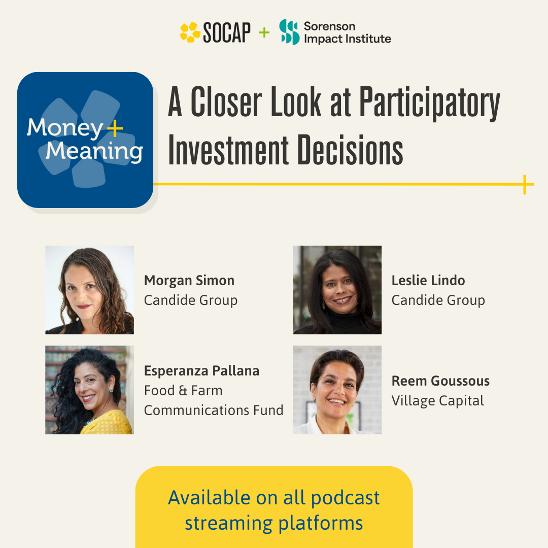 A Closer Look at Participatory Investment Decisions