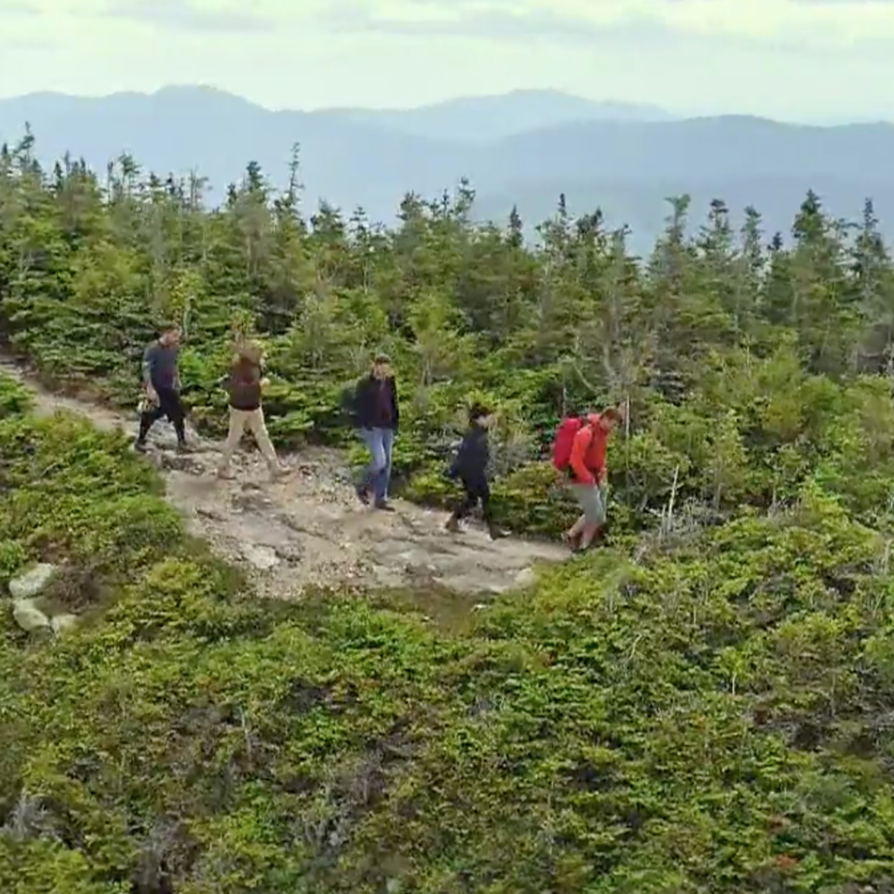 Oxygen series // Part 6