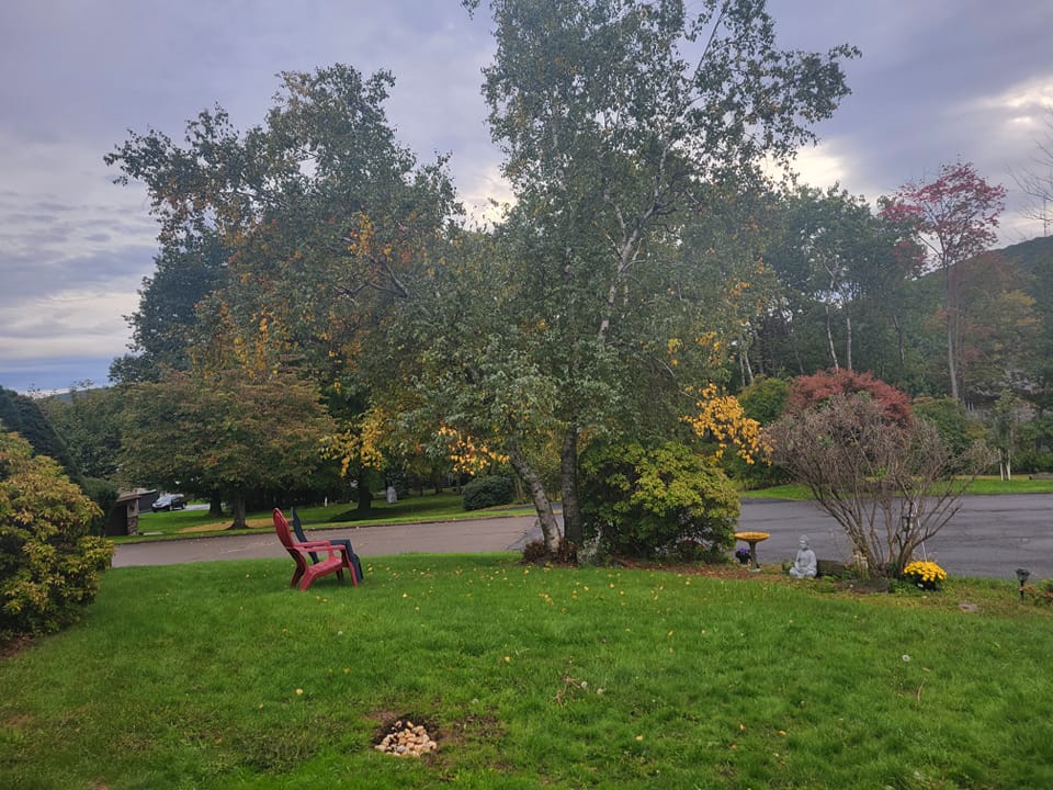 Troubadours and Raconteurs with E.W. Conundrum Demure - Conversation, Essays, Poetry & Music.